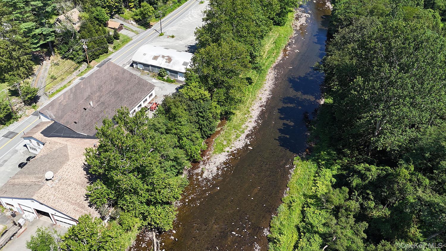 Aerial view of a tree filled landscape