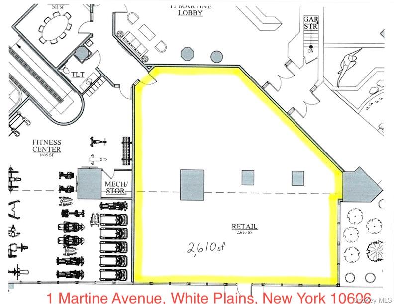 Store Front Retail (2610sf) on Martine Ave