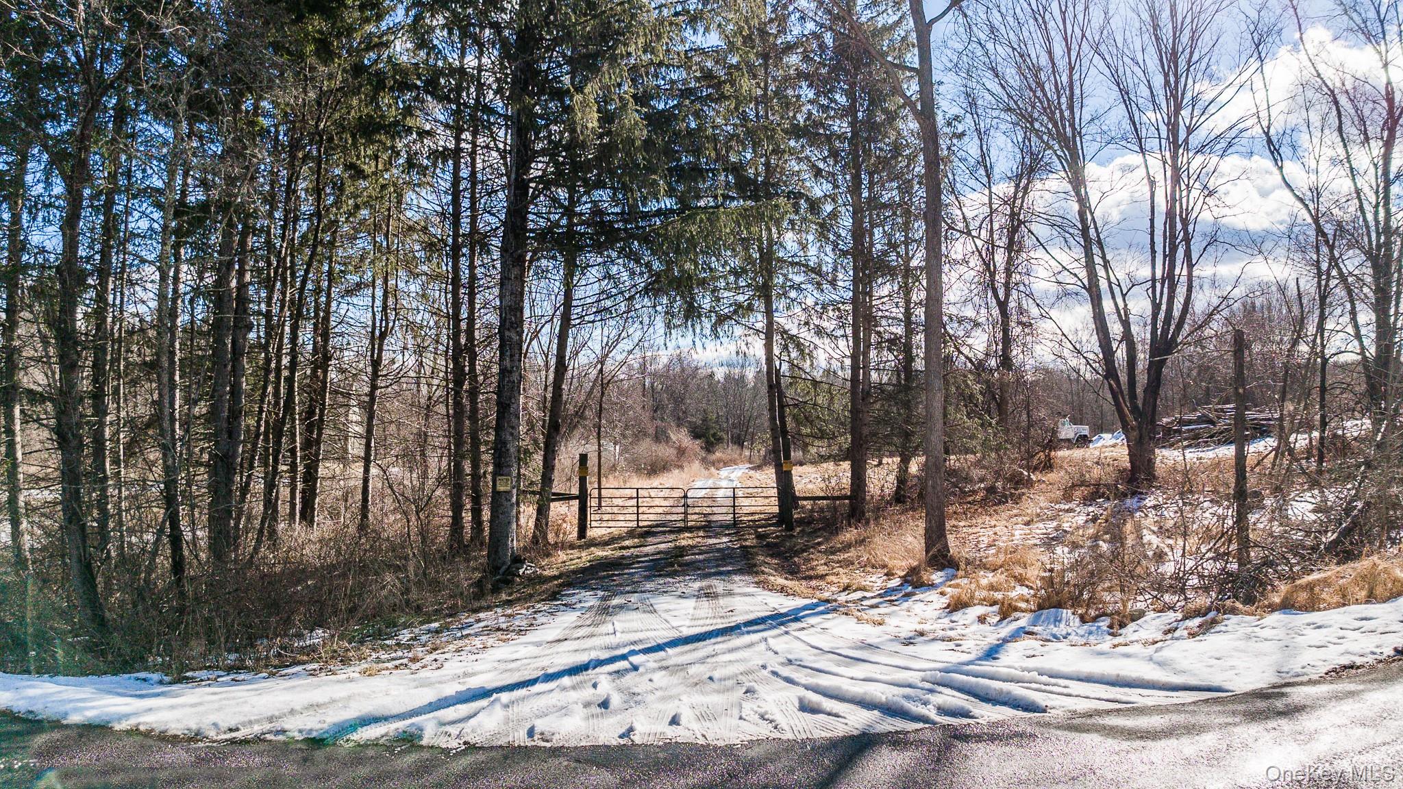 Street view of gated Driveway entrance