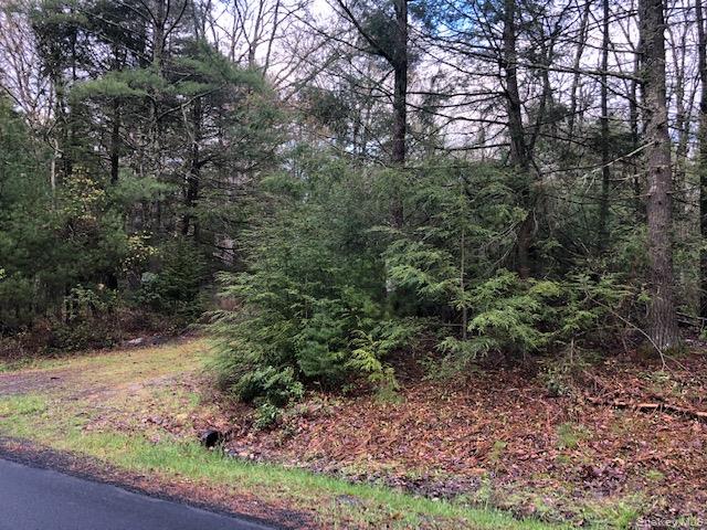 View of landscape with drive into property