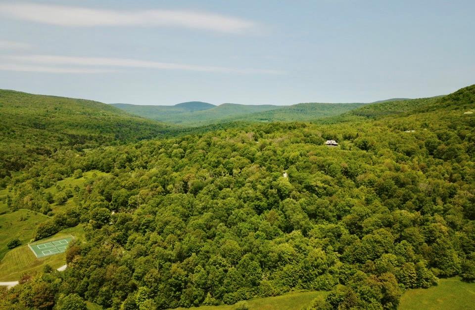 View of mountain background featuring a forest