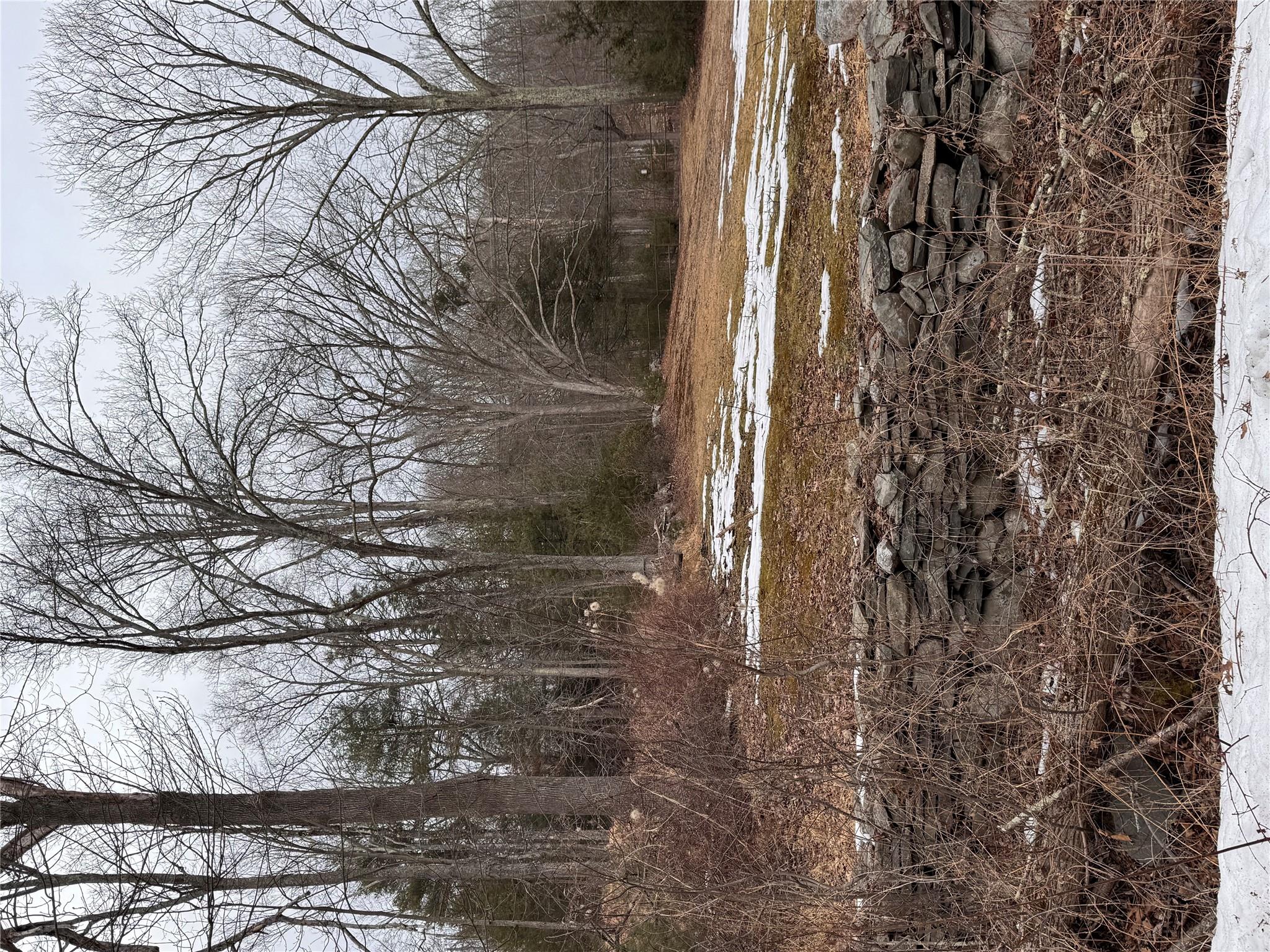 View of snowy view