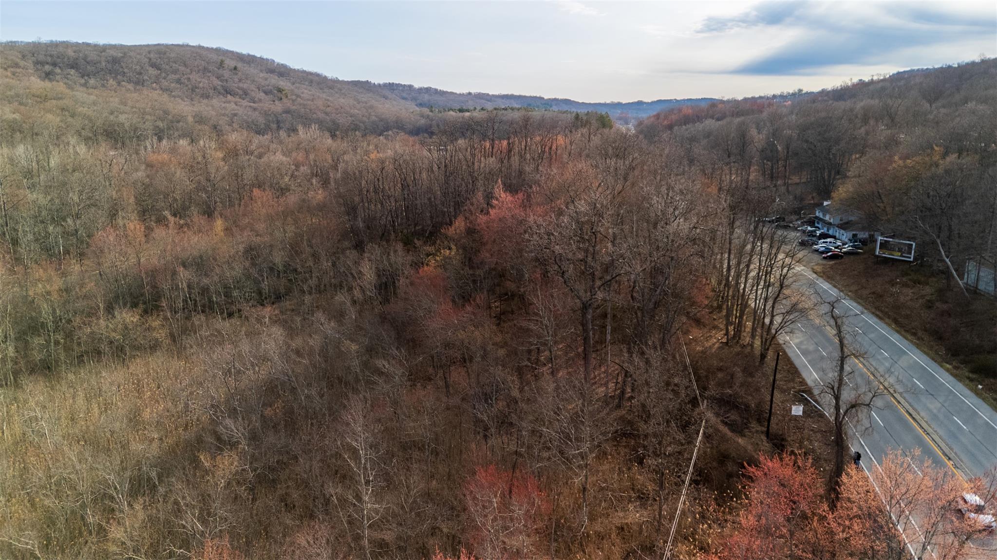 Mountain view with a forest view