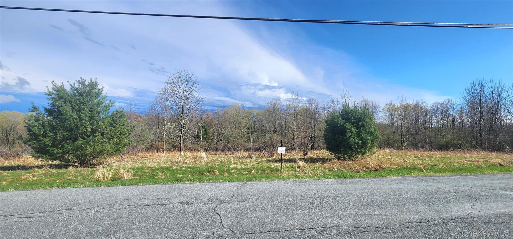 View of road featuring a wooded view