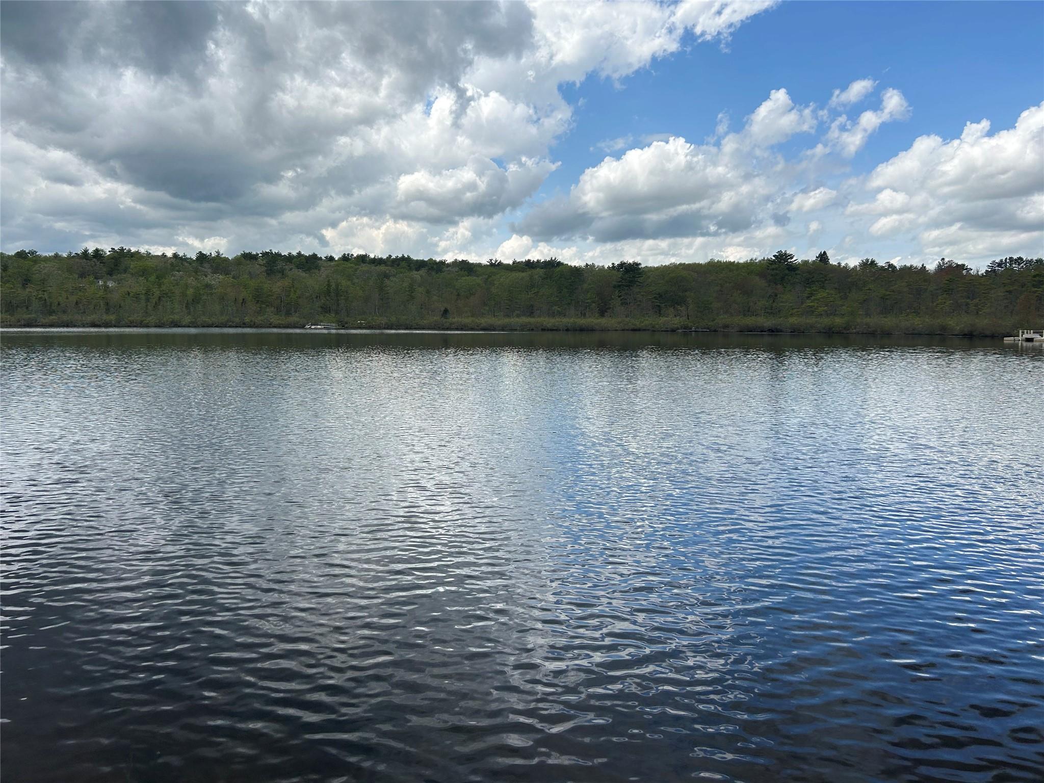 Water view with a heavily wooded area