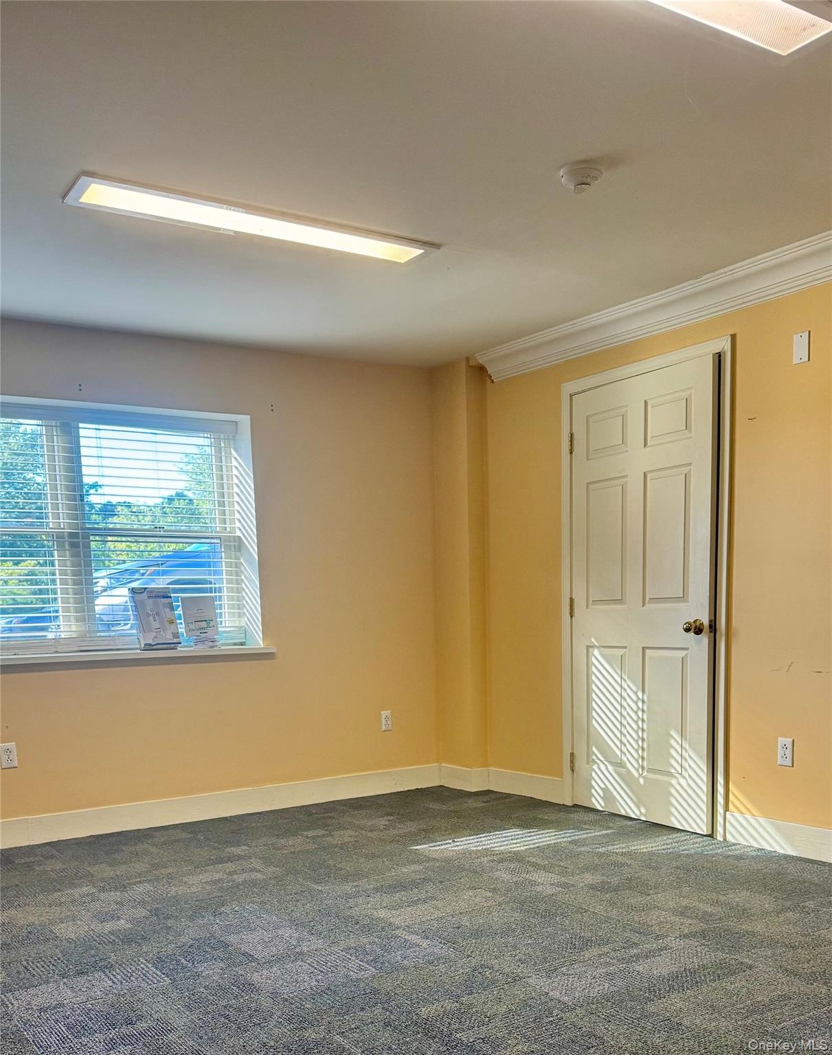 Empty room with baseboards and dark carpet