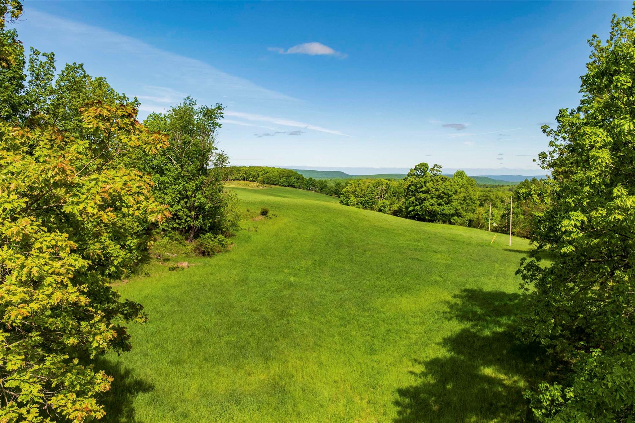 View of green lawn