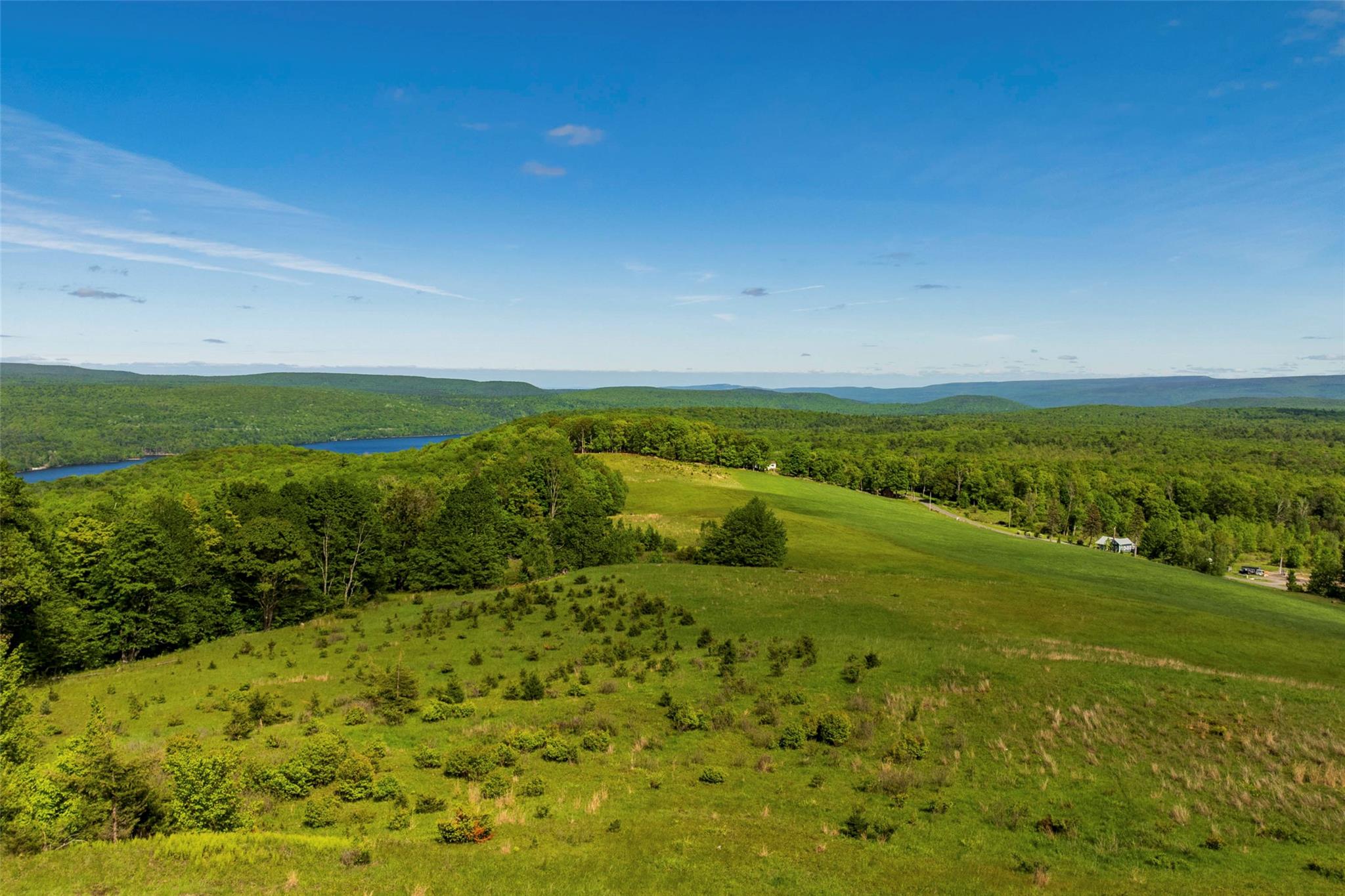 Aerial view of a water and mountain view and a forest