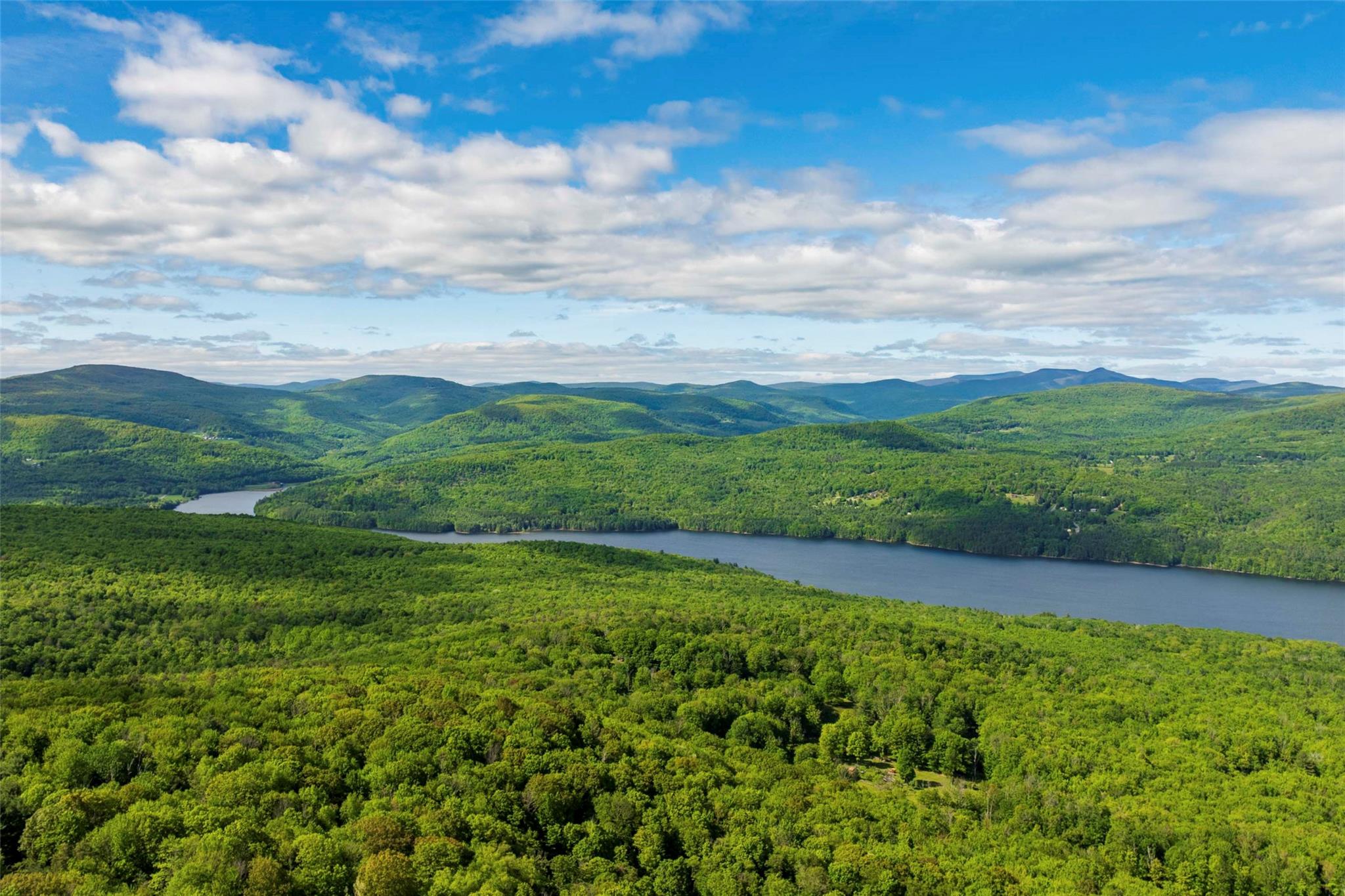 Mountain view featuring a heavily wooded area and a nearby body of water