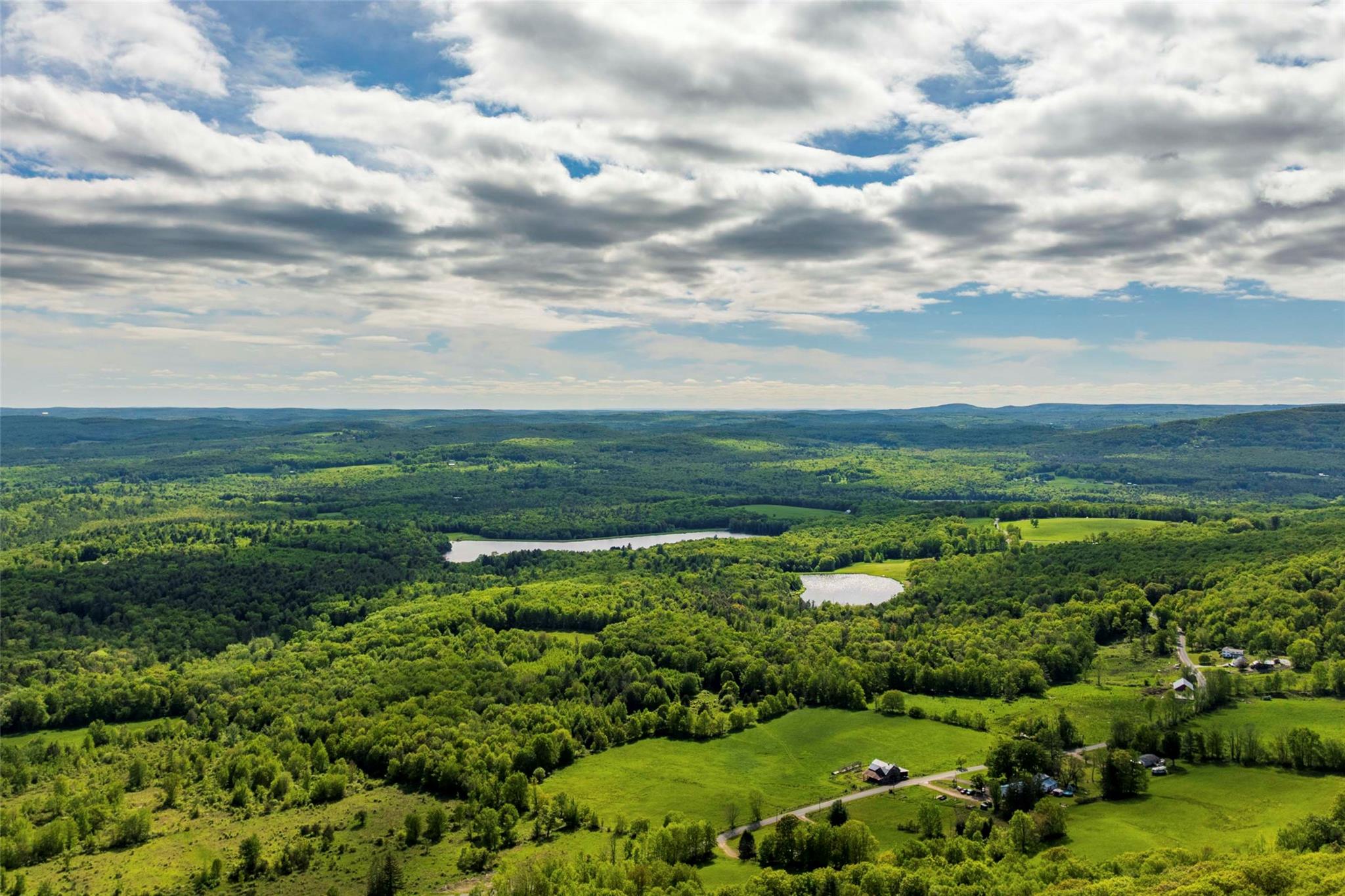 Aerial view of a forest and a nearby body of water