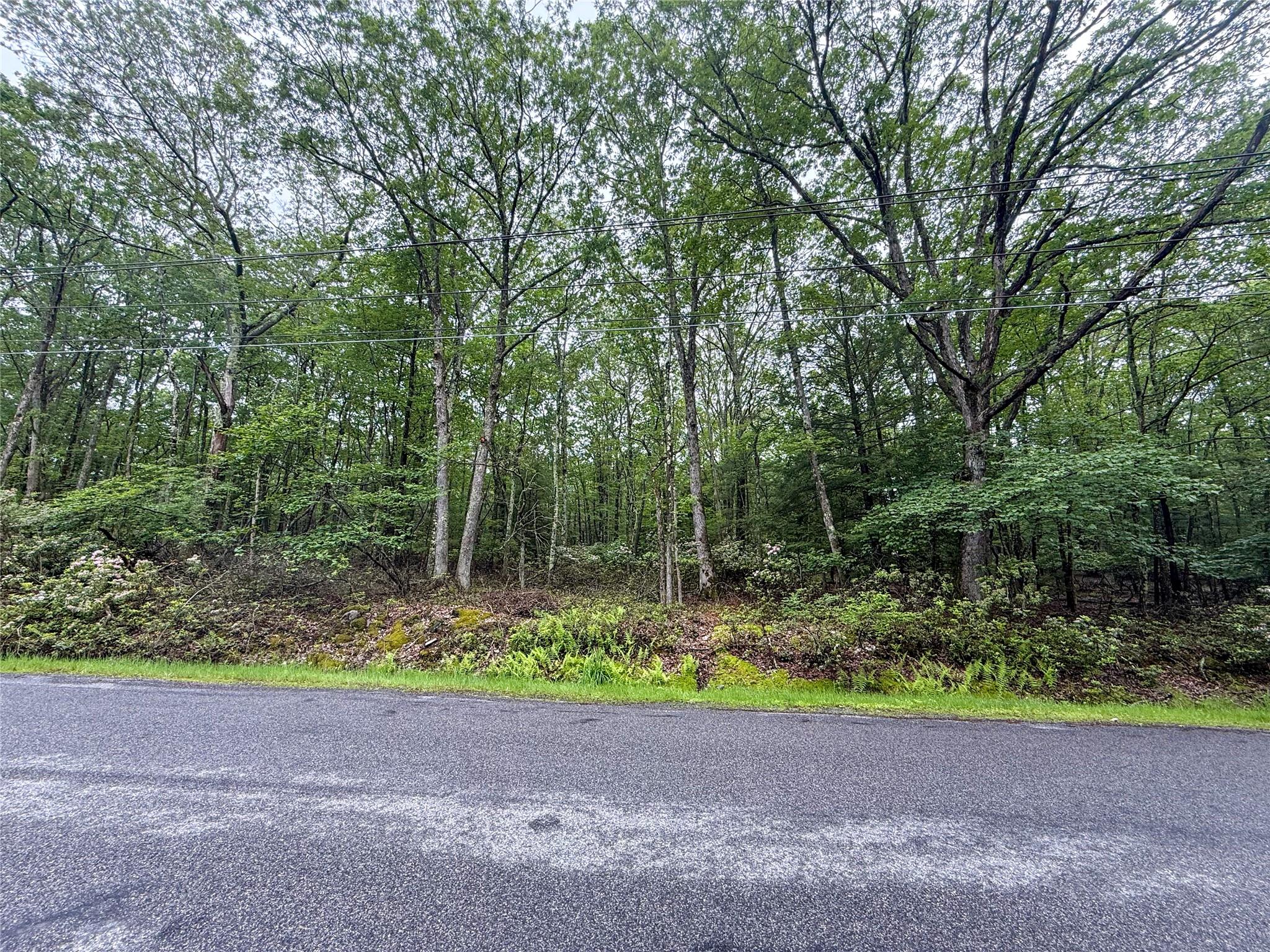 View of asphalt road featuring a wooded view