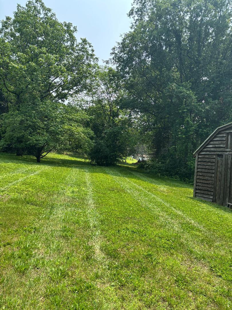 View of grassy yard featuring a storage unit
