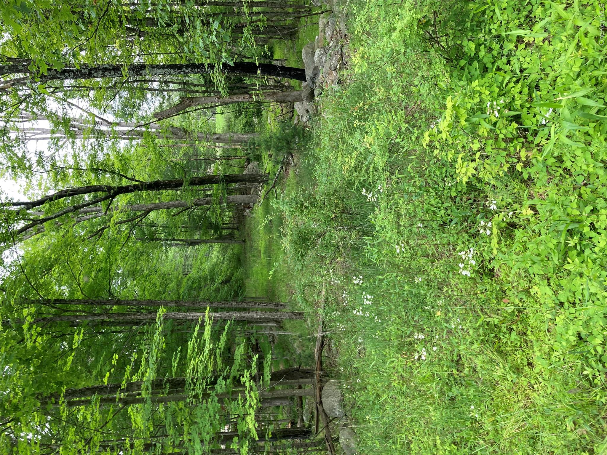View of nature
