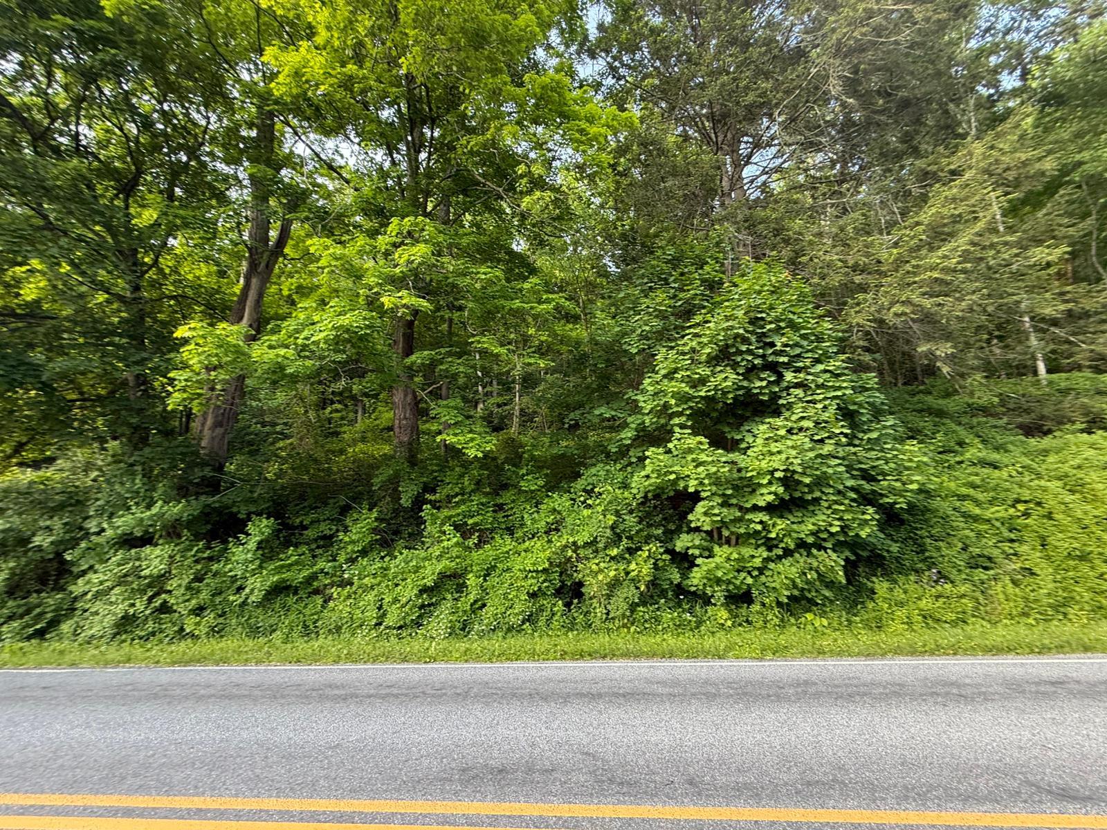 View of asphalt road featuring a view of trees