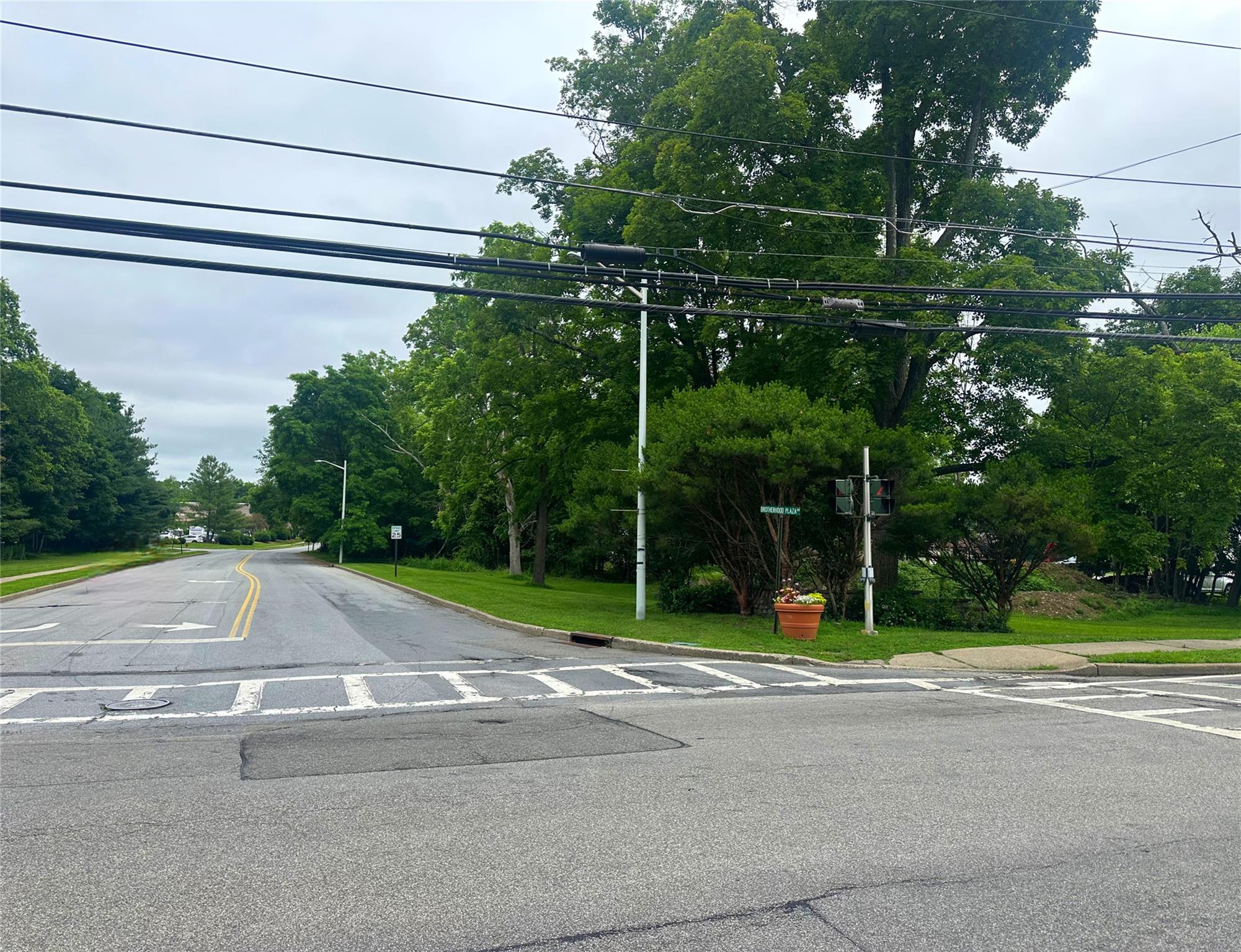 View of asphalt road with street lighting, view of wooded area, and curbs