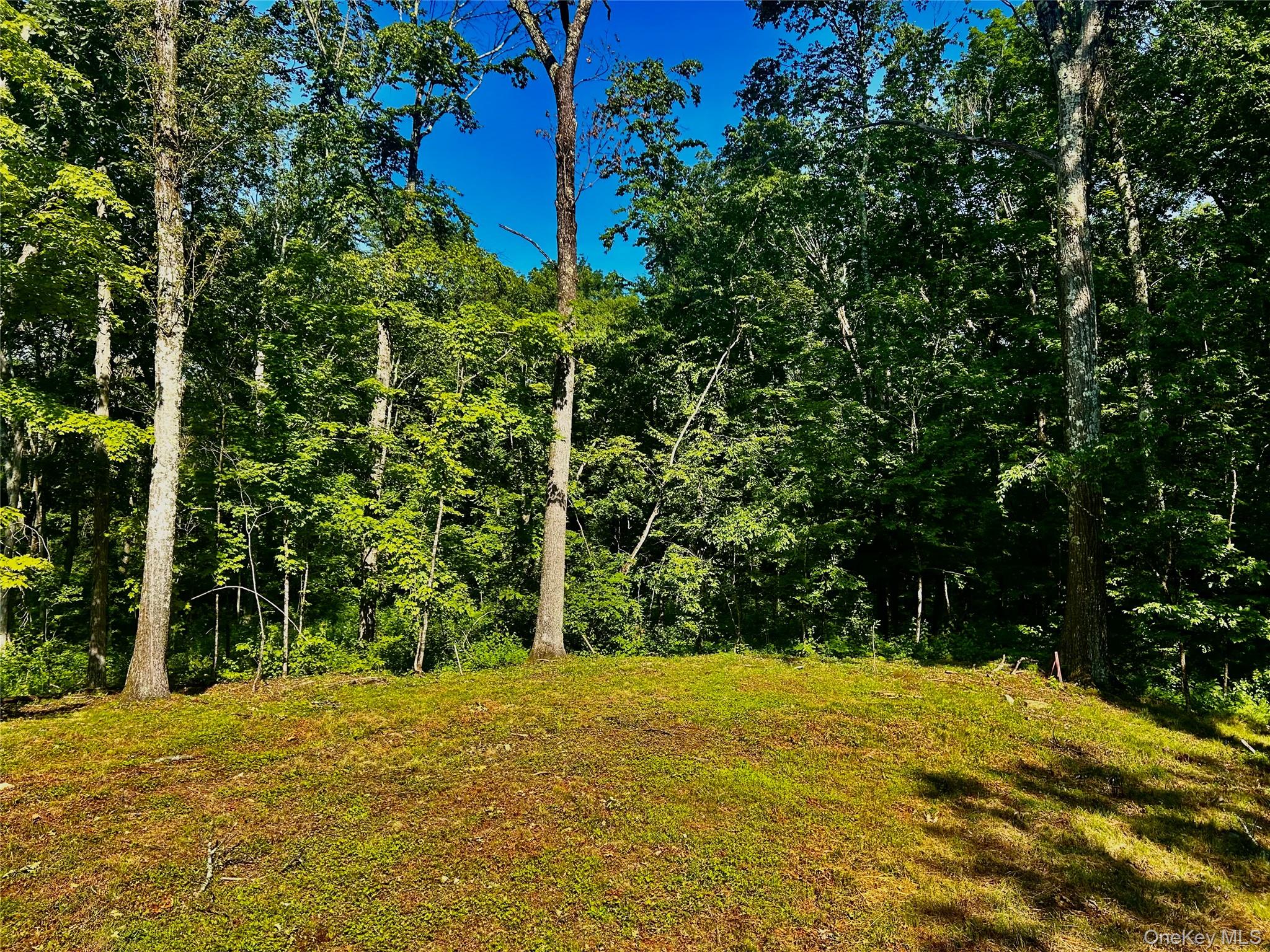 Homesite