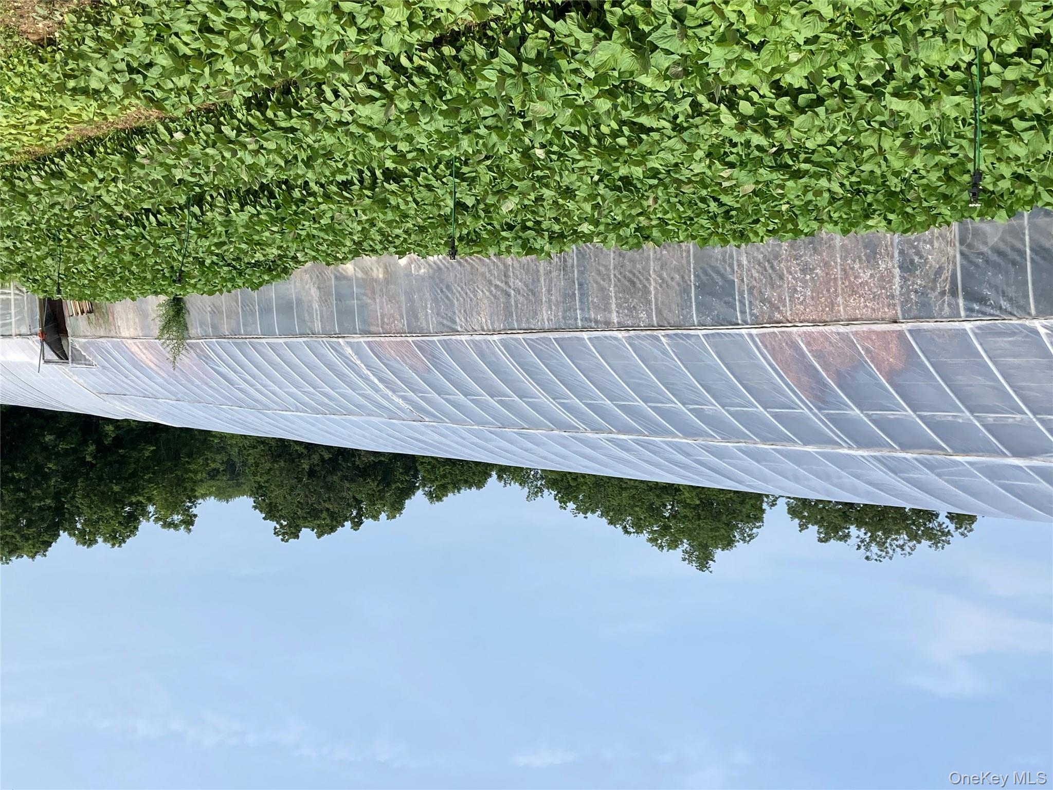 Exterior view of a greenhouse