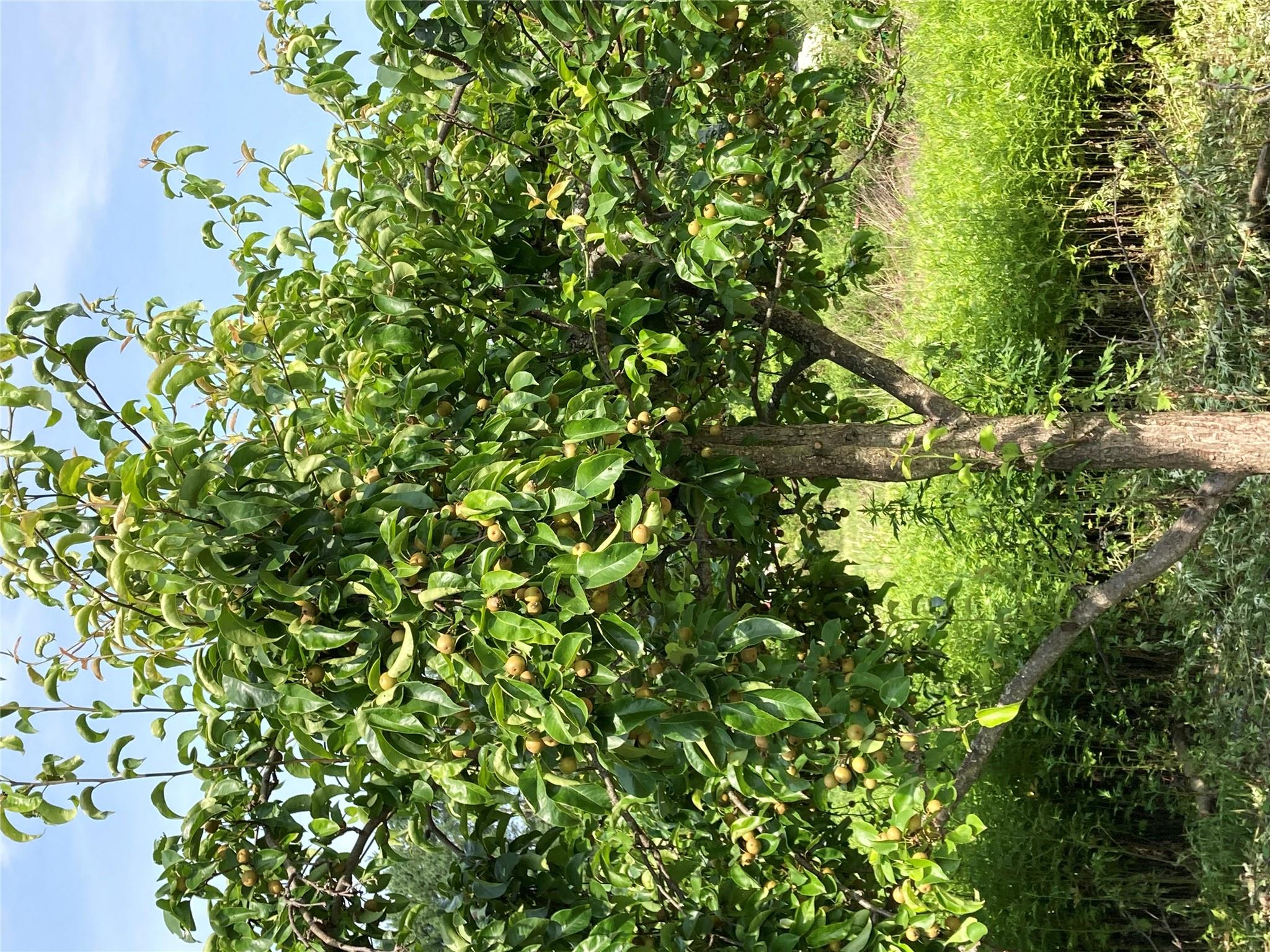 View of nature