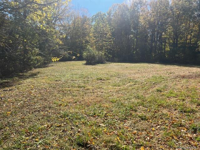 View of green lawn