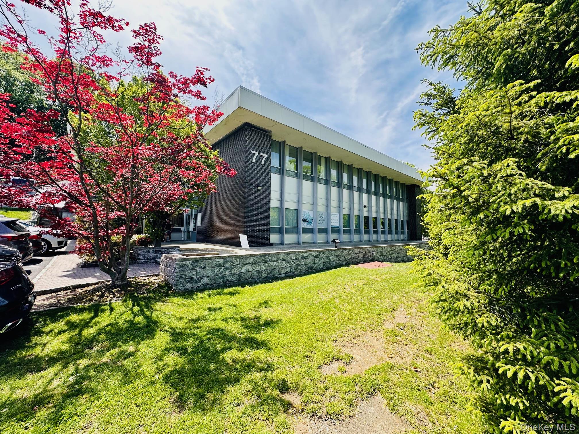 View of grassy yard