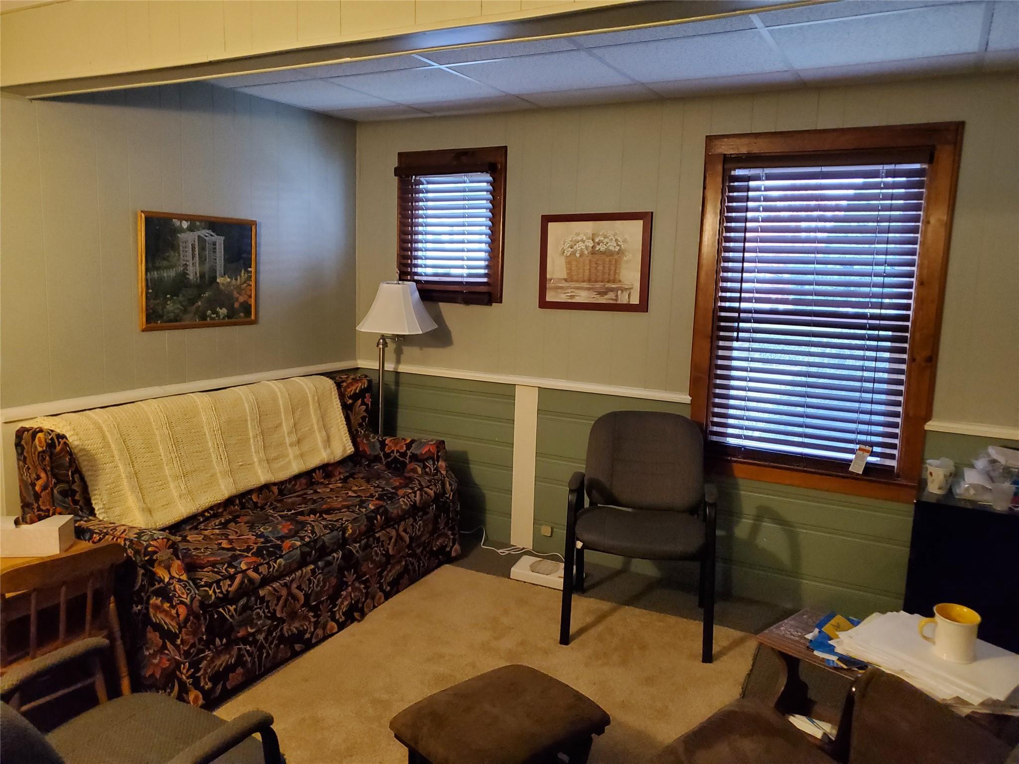 Carpeted living room with a wainscoted wall and wood walls