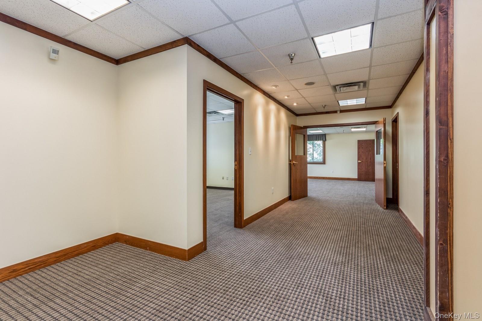 Hallway with a drop ceiling, crown molding, and carpet flooring