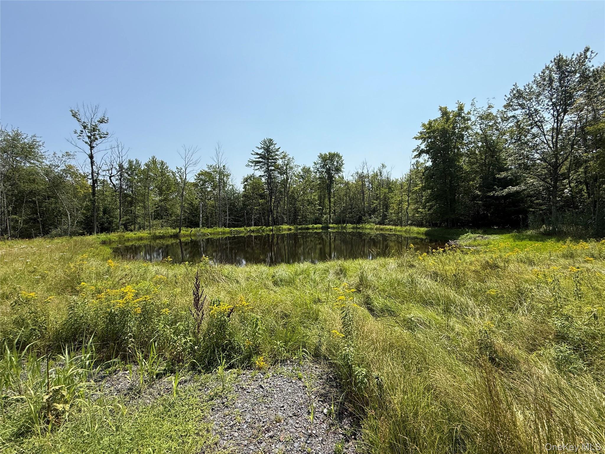 View of woods with a water view