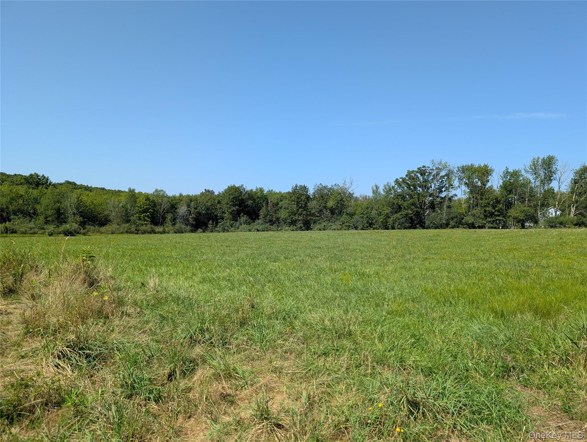 undeveloped land