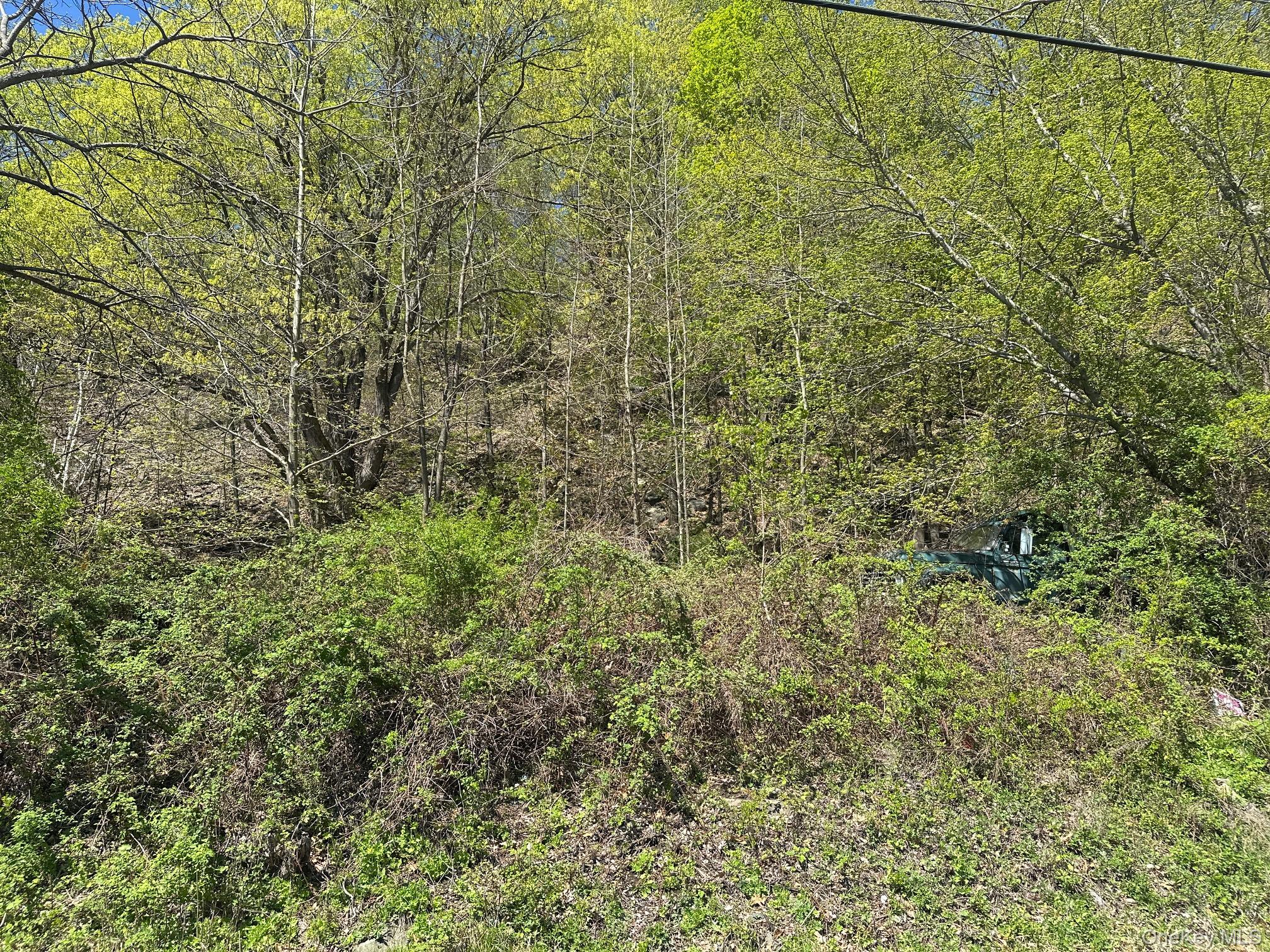 View of undeveloped land