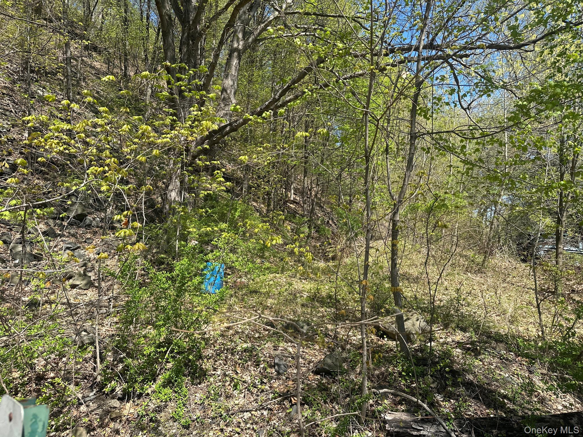 View of nature