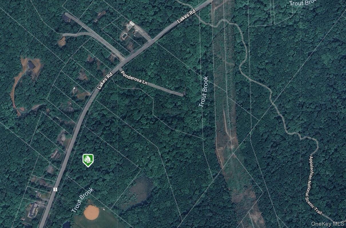 Aerial map of property and surrounding area