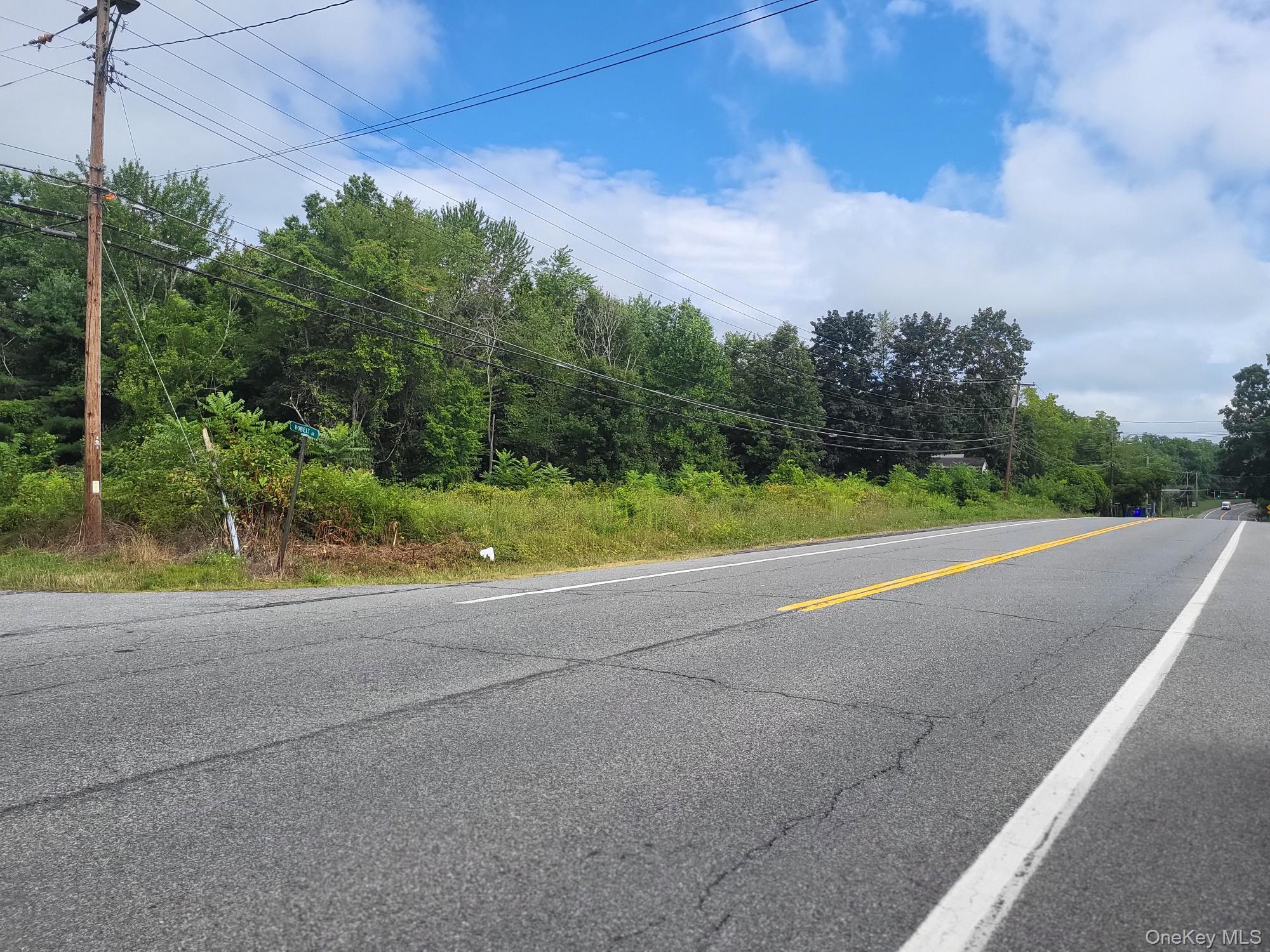 View of asphalt road featuring view of wooded area