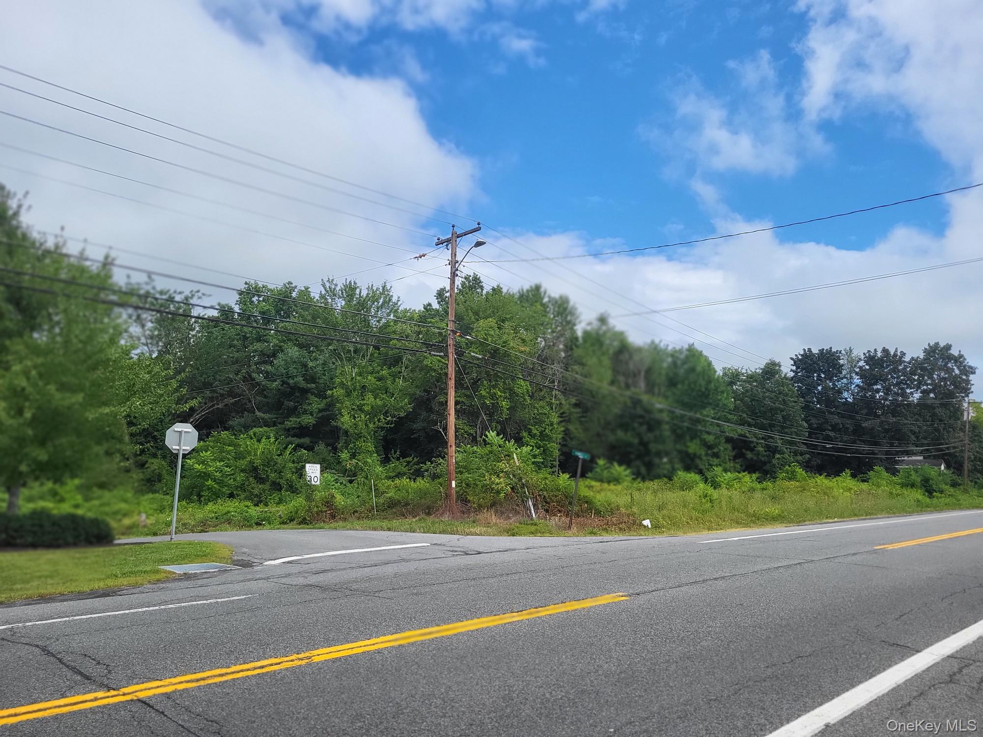 View of asphalt road featuring view of wooded area and street lights