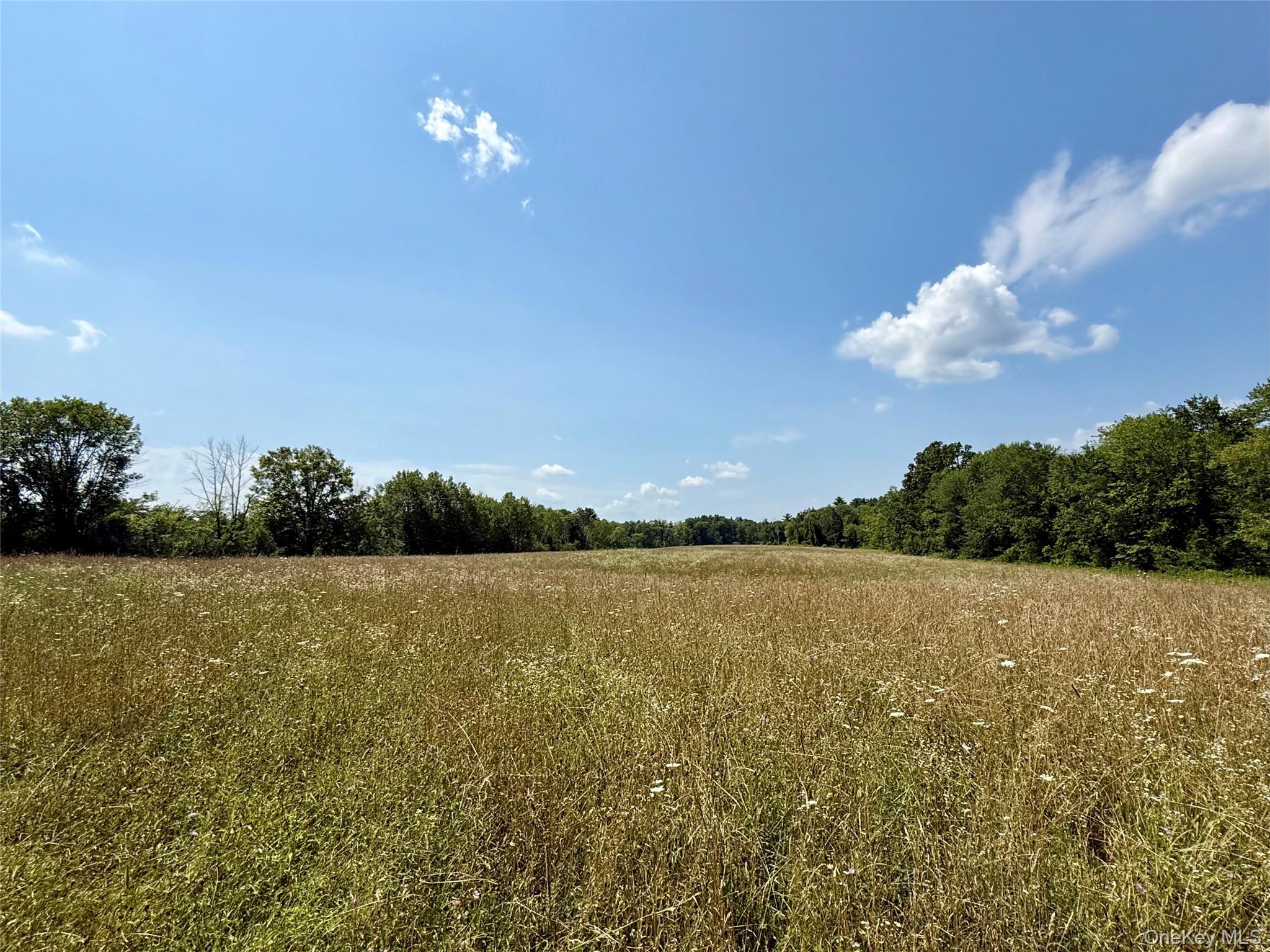 View of undeveloped land with rural landscape