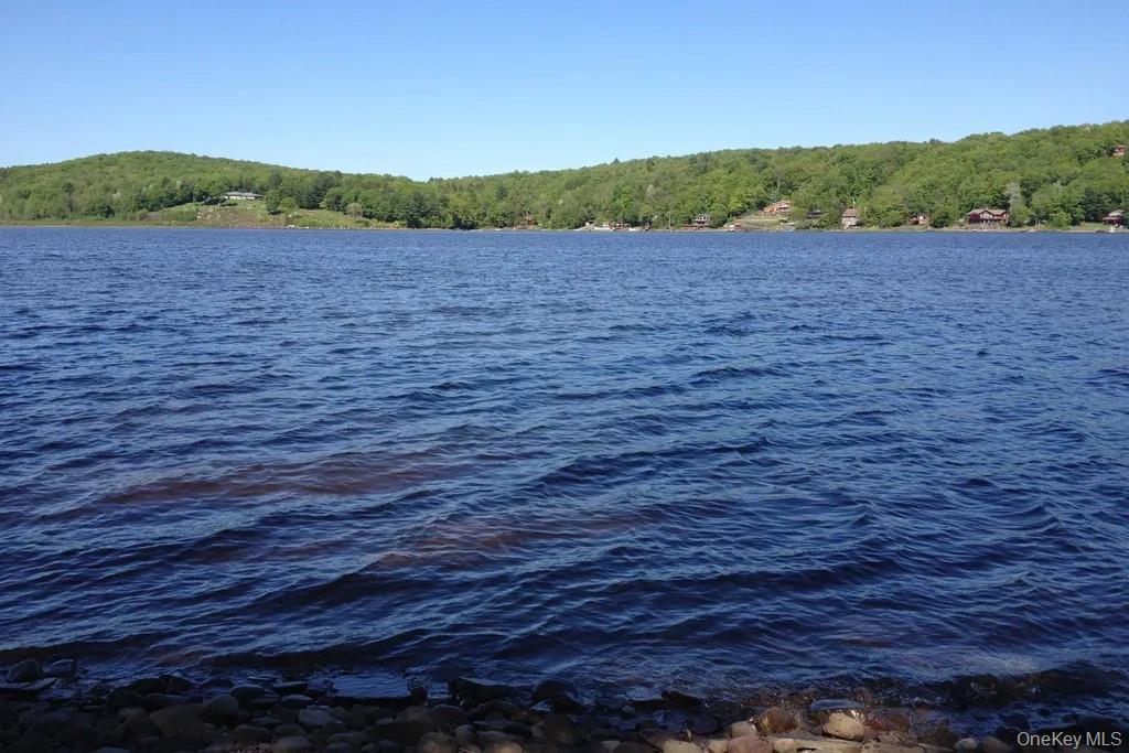 Water view with a forest