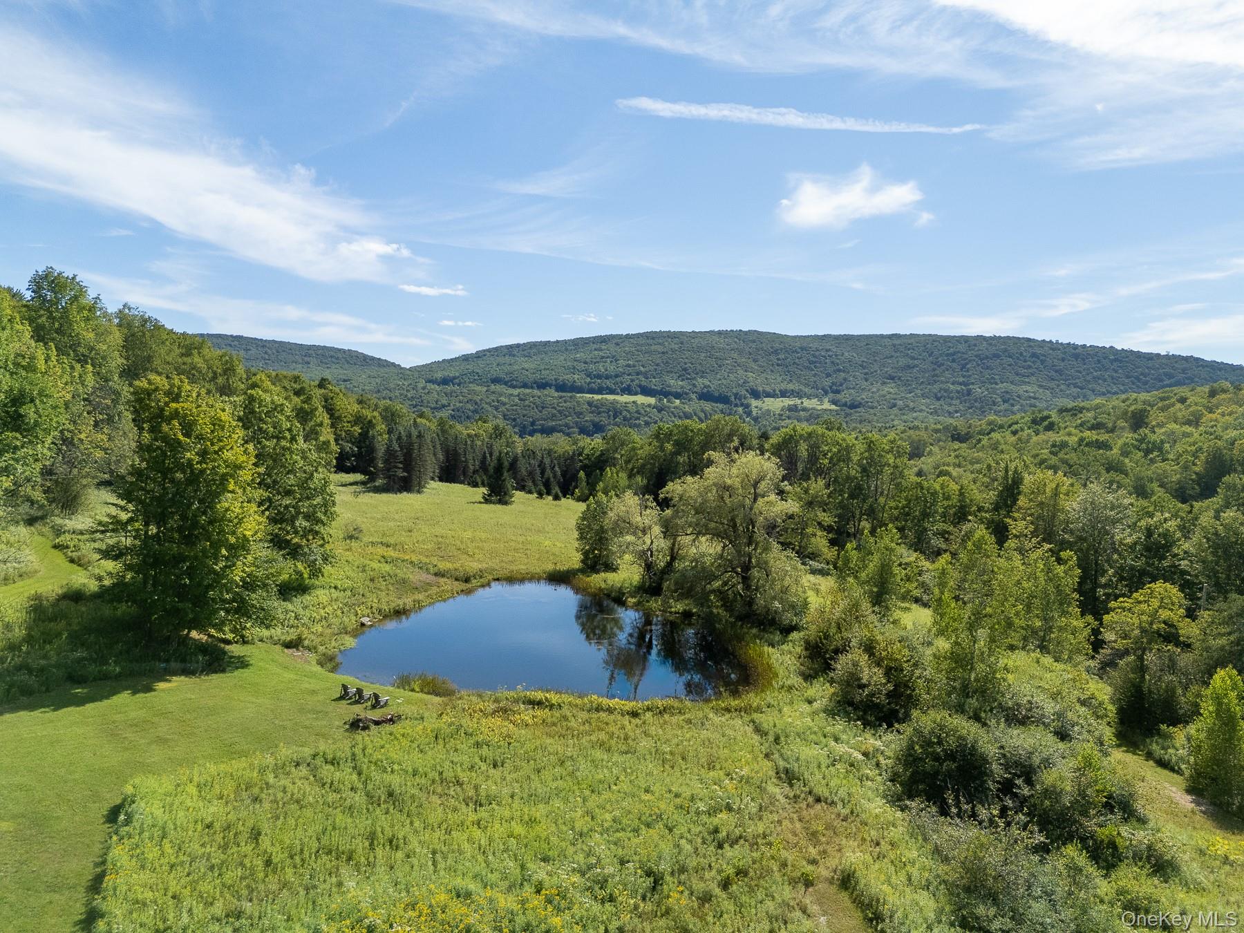 Drone / aerial view of a forest and a water and mountain view