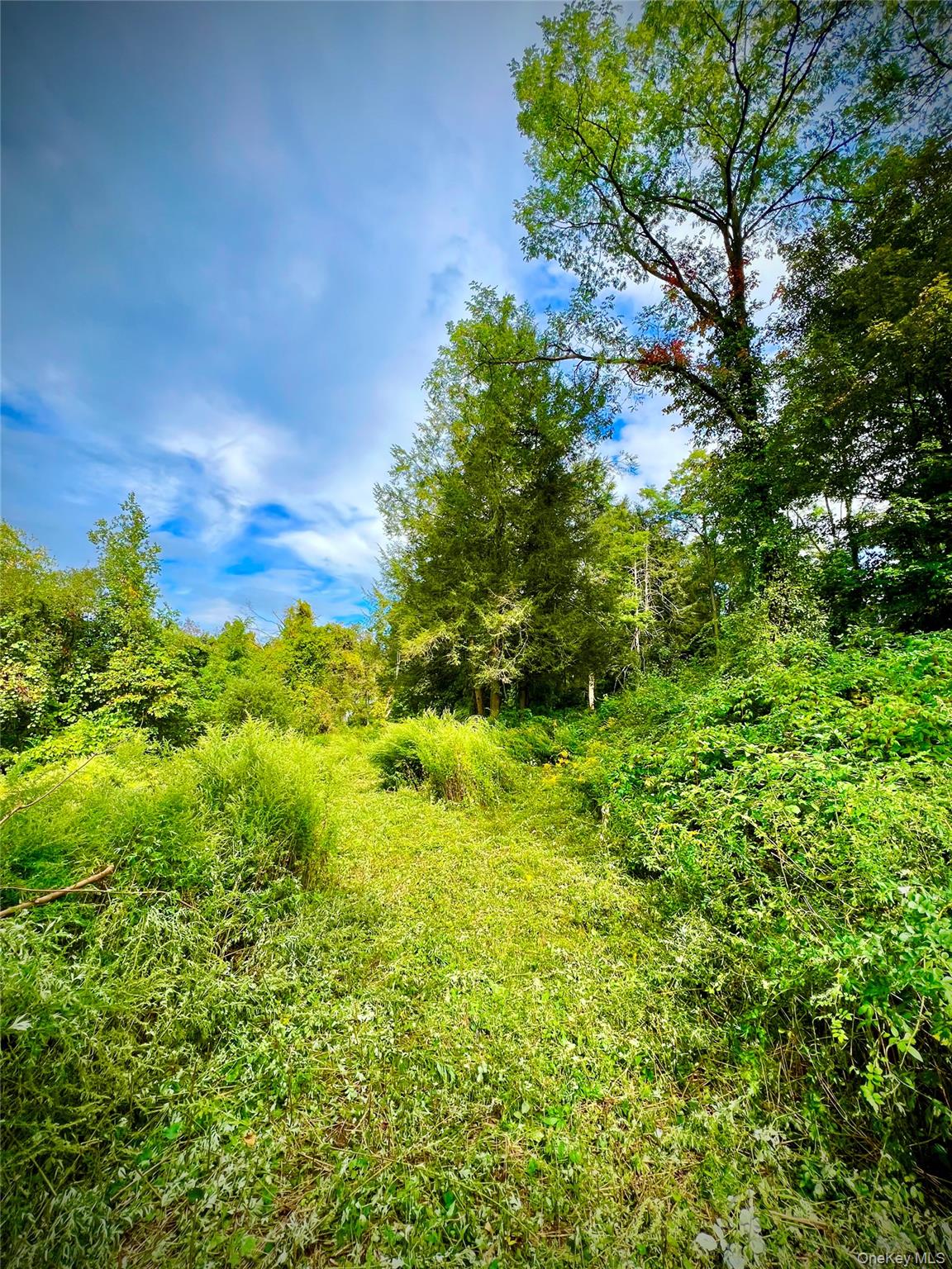 This unimproved lot previously held a seasonal home and is ready for redevelopment.
