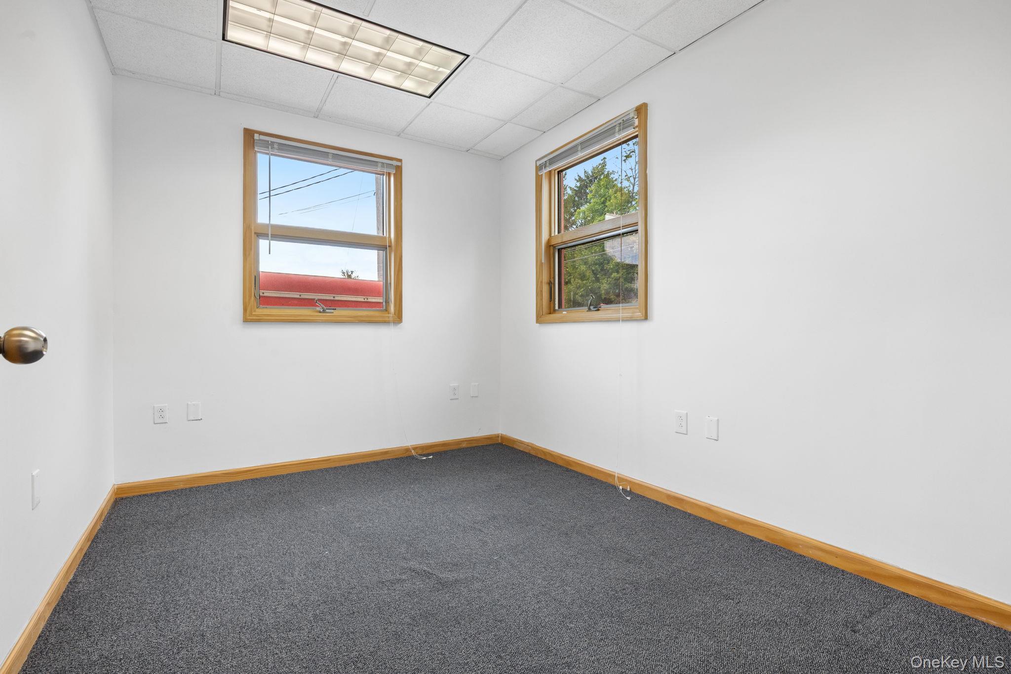 Unfurnished room with a drop ceiling, plenty of natural light, and carpet floors