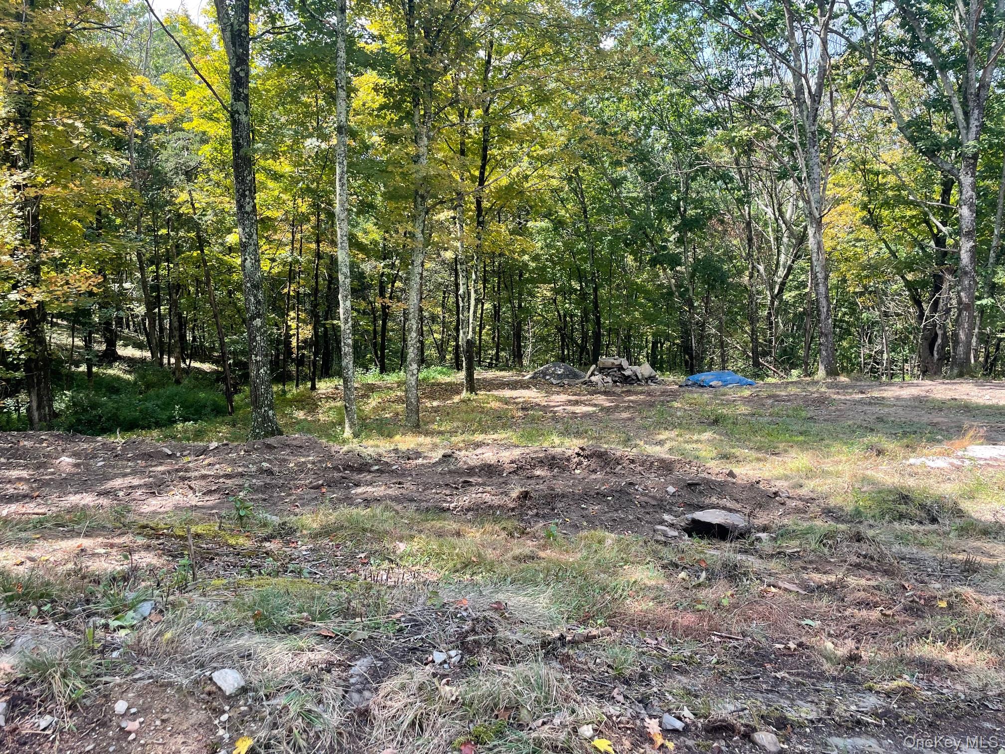 View of yard featuring a wooded view