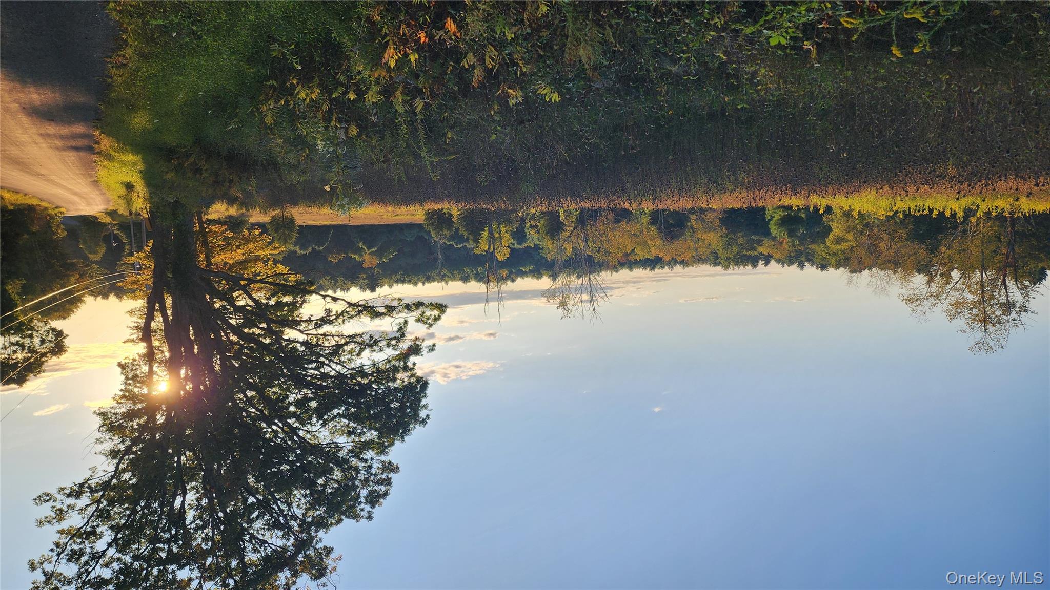View of woods