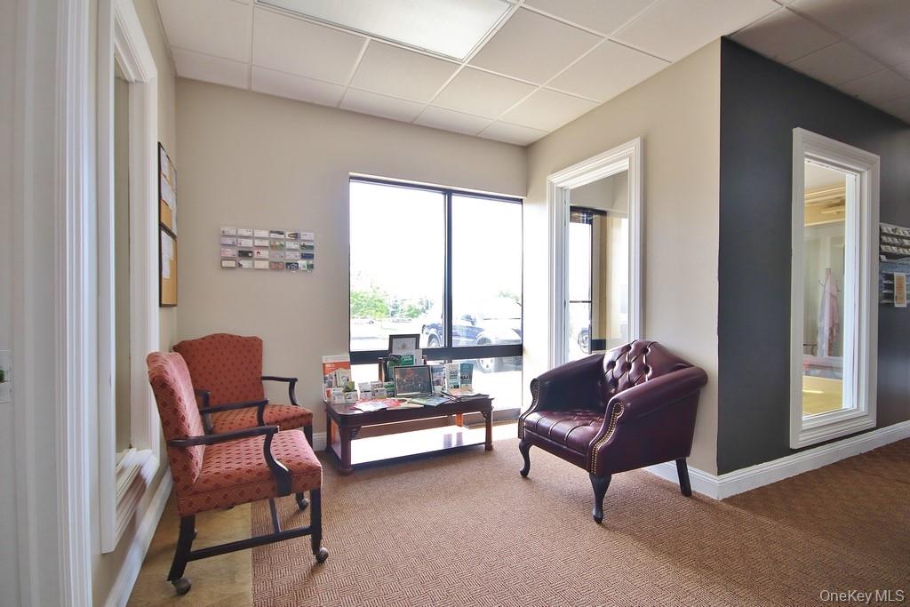 Sitting area featuring a drop ceiling and carpet