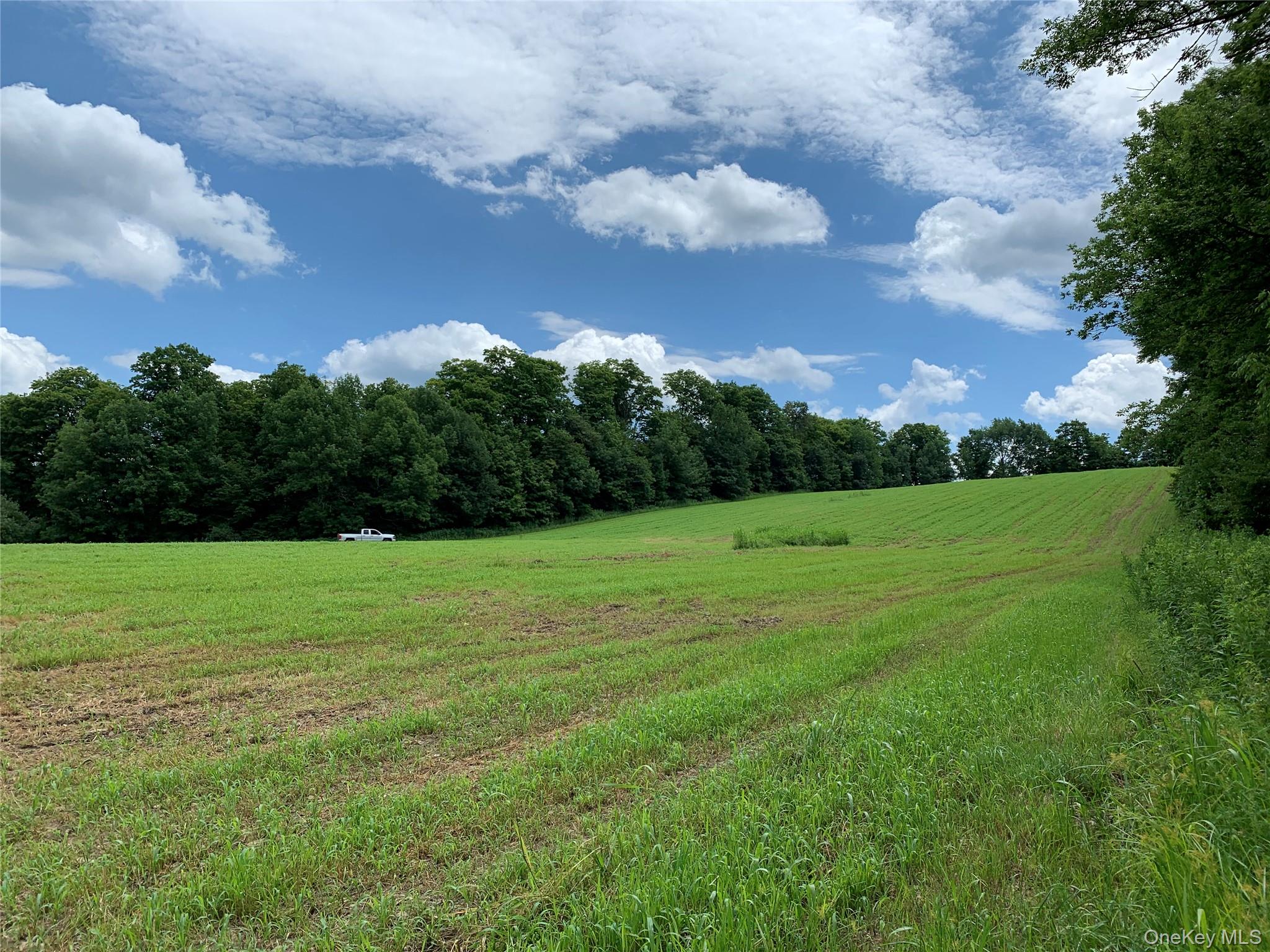 flat field
