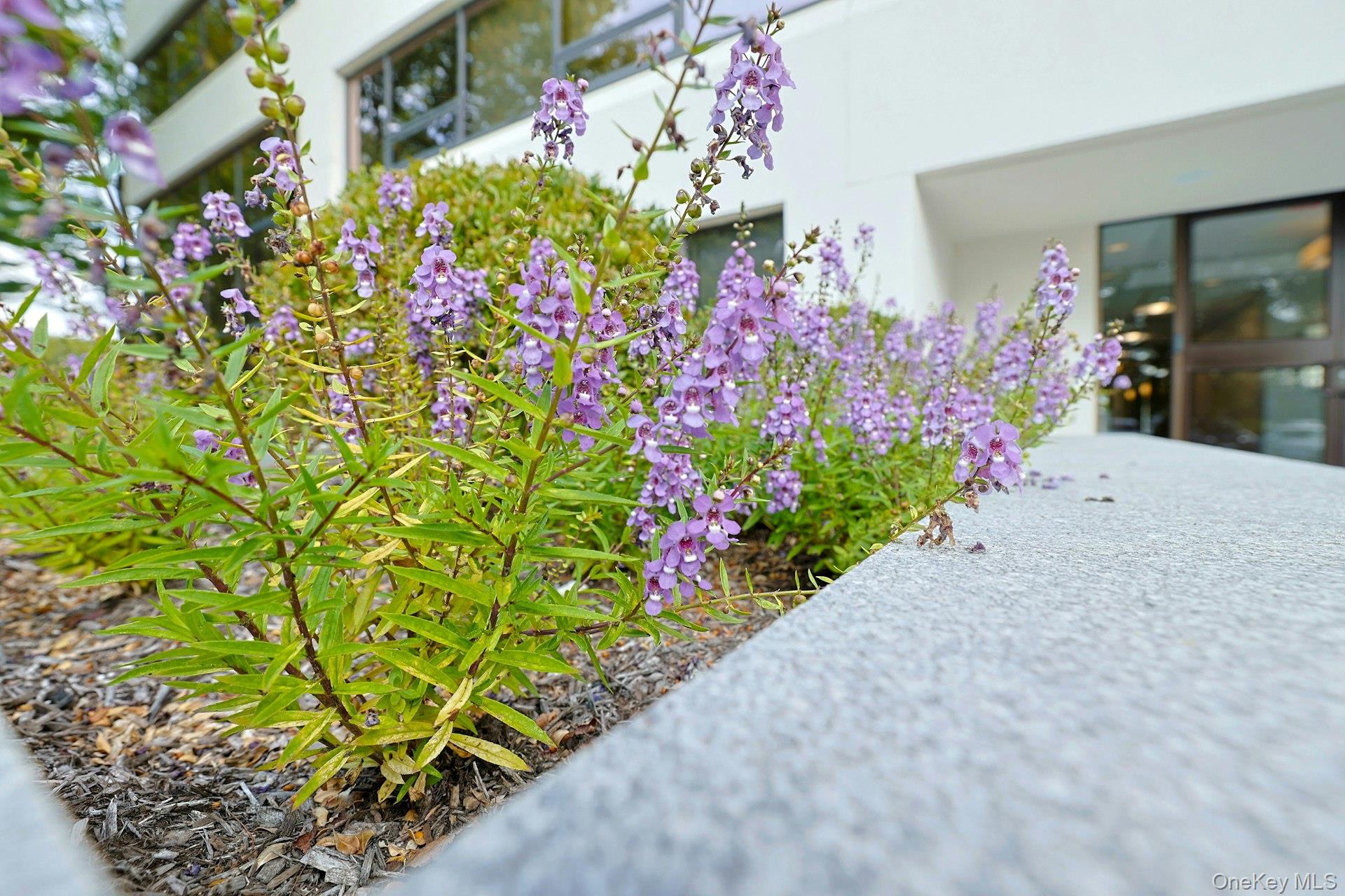 Exterior view of stucco siding
