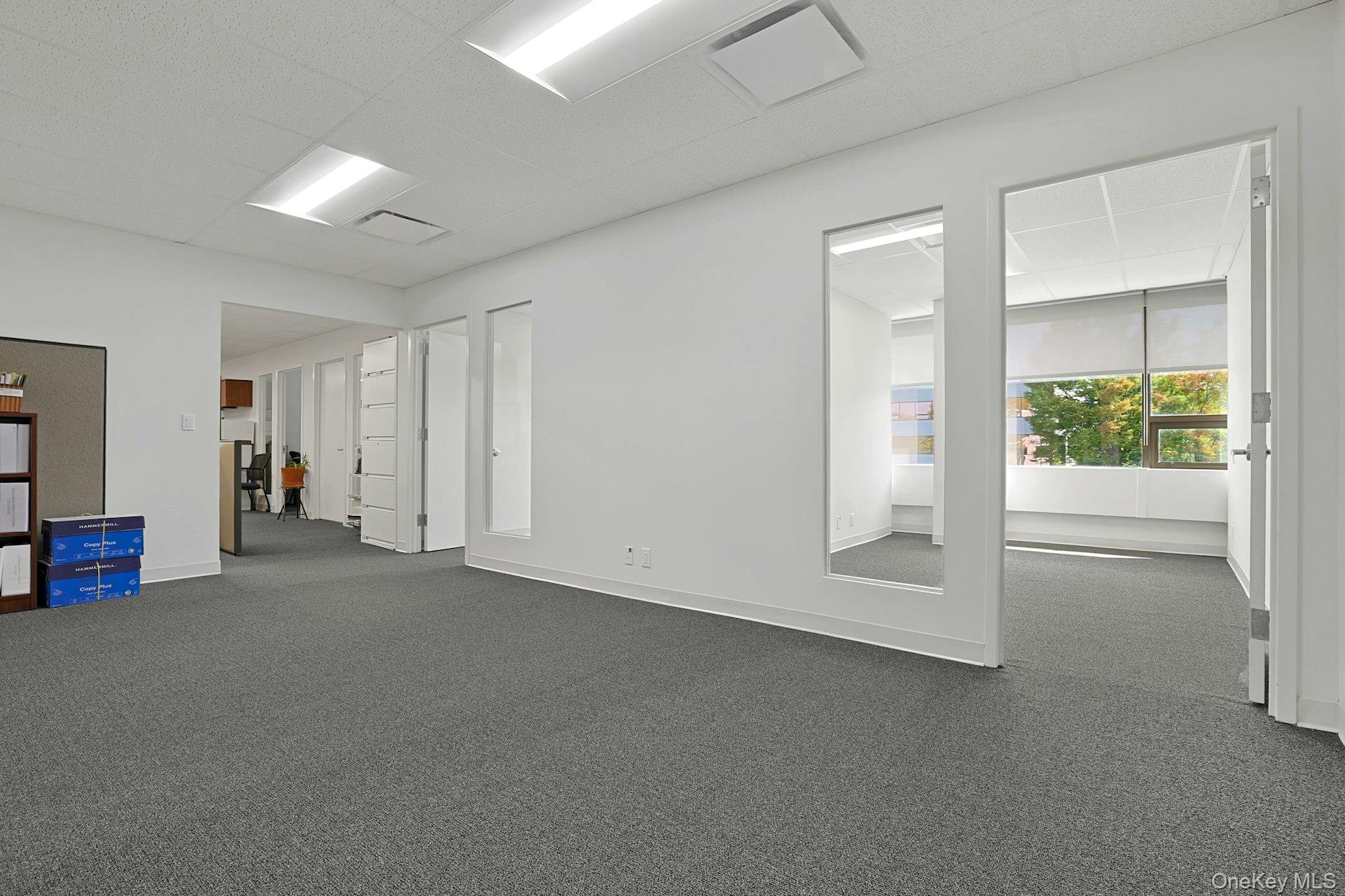 Empty room with dark colored carpet and a drop ceiling