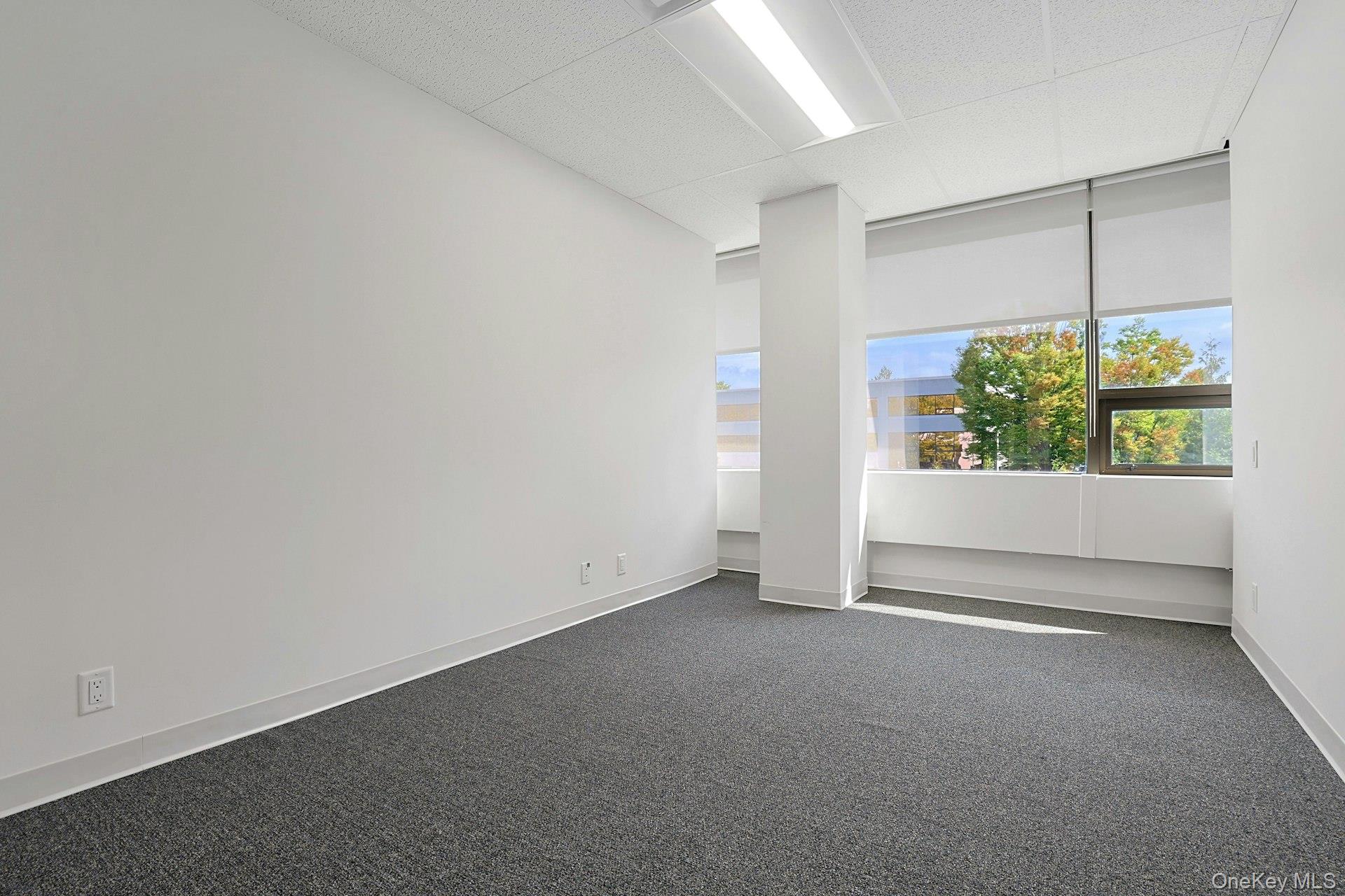 Unfurnished room with dark carpet and a paneled ceiling