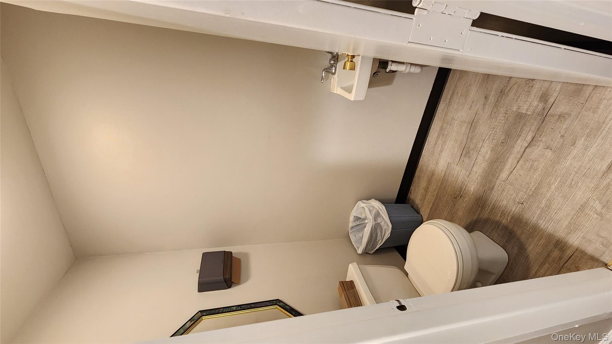 Bathroom with light wood-type flooring and toilet