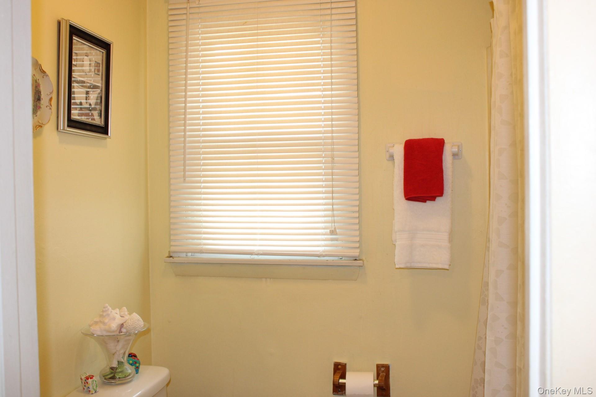 Full bathroom with toilet and curtained shower