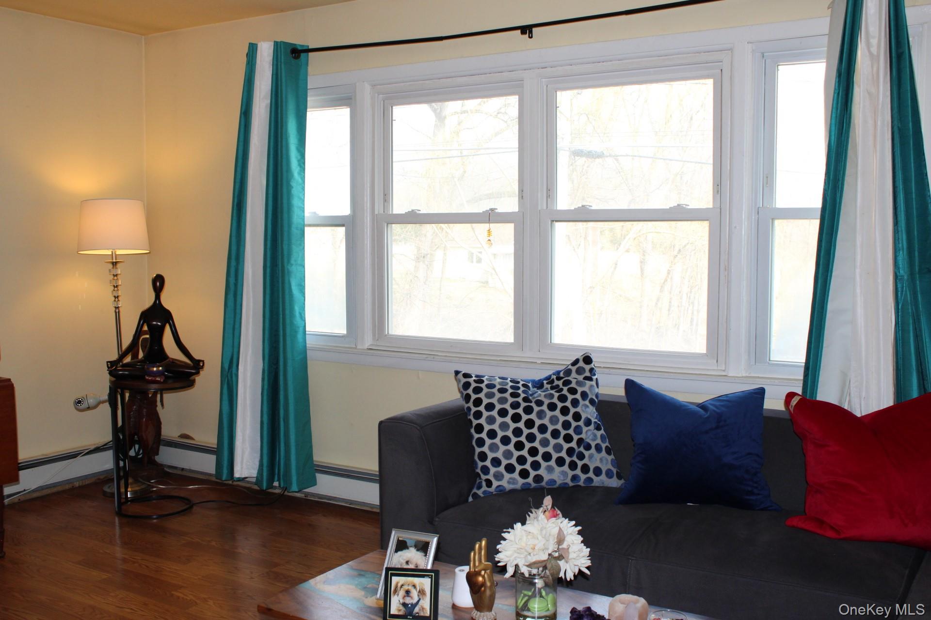 Living room featuring wood finished floors, a healthy amount of sunlight, and a baseboard radiator