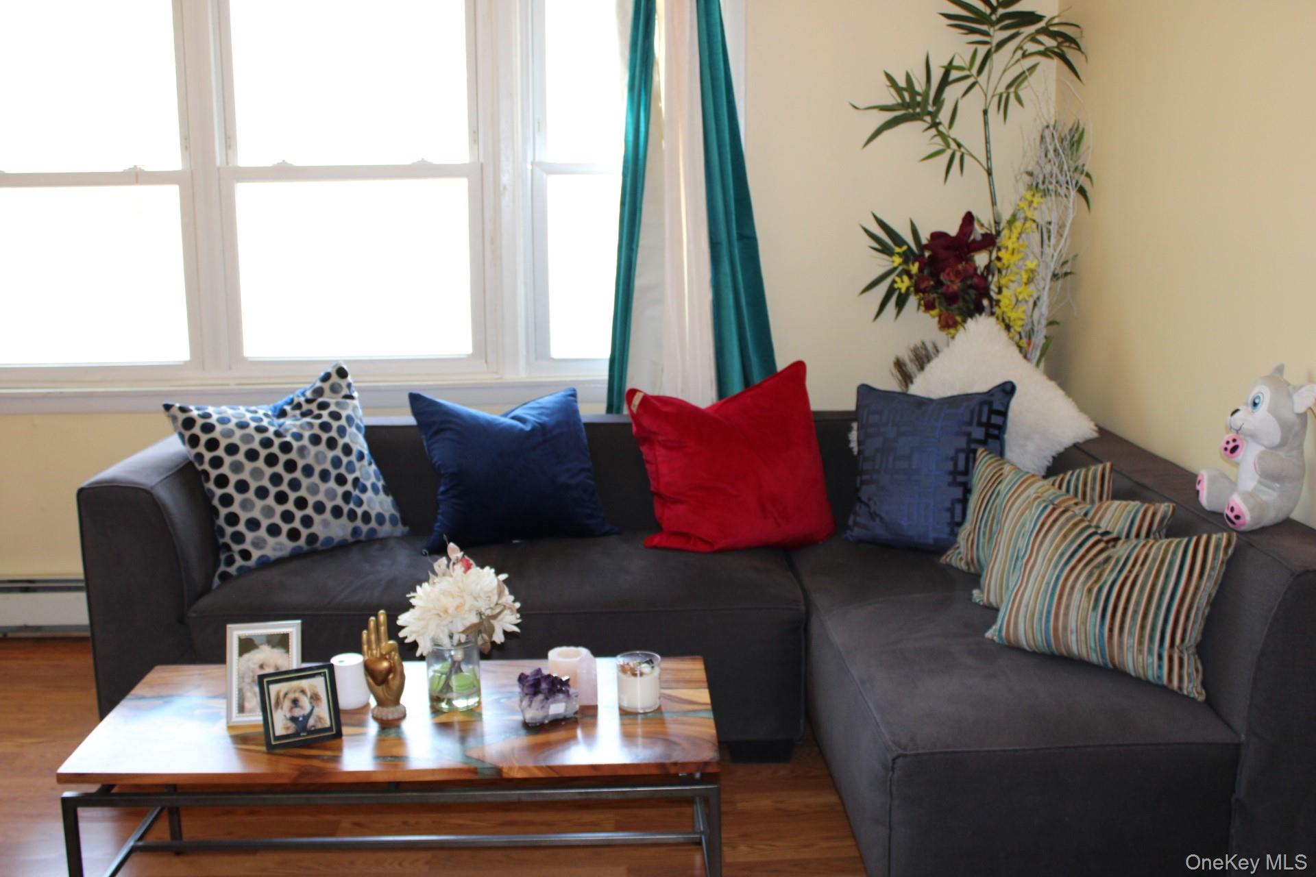 Living room with a baseboard radiator and wood finished floors