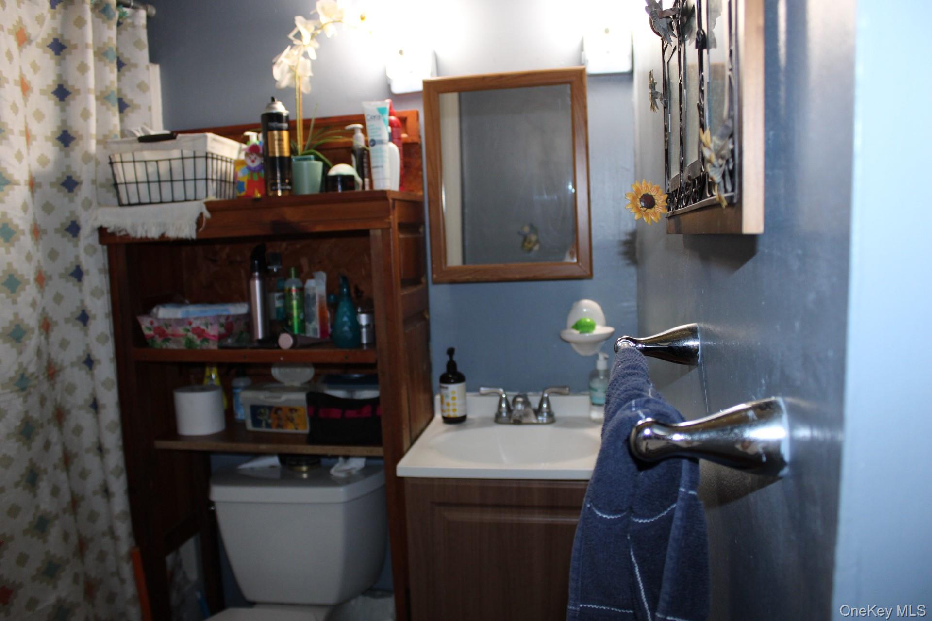 Bathroom with toilet,  vanity and tub